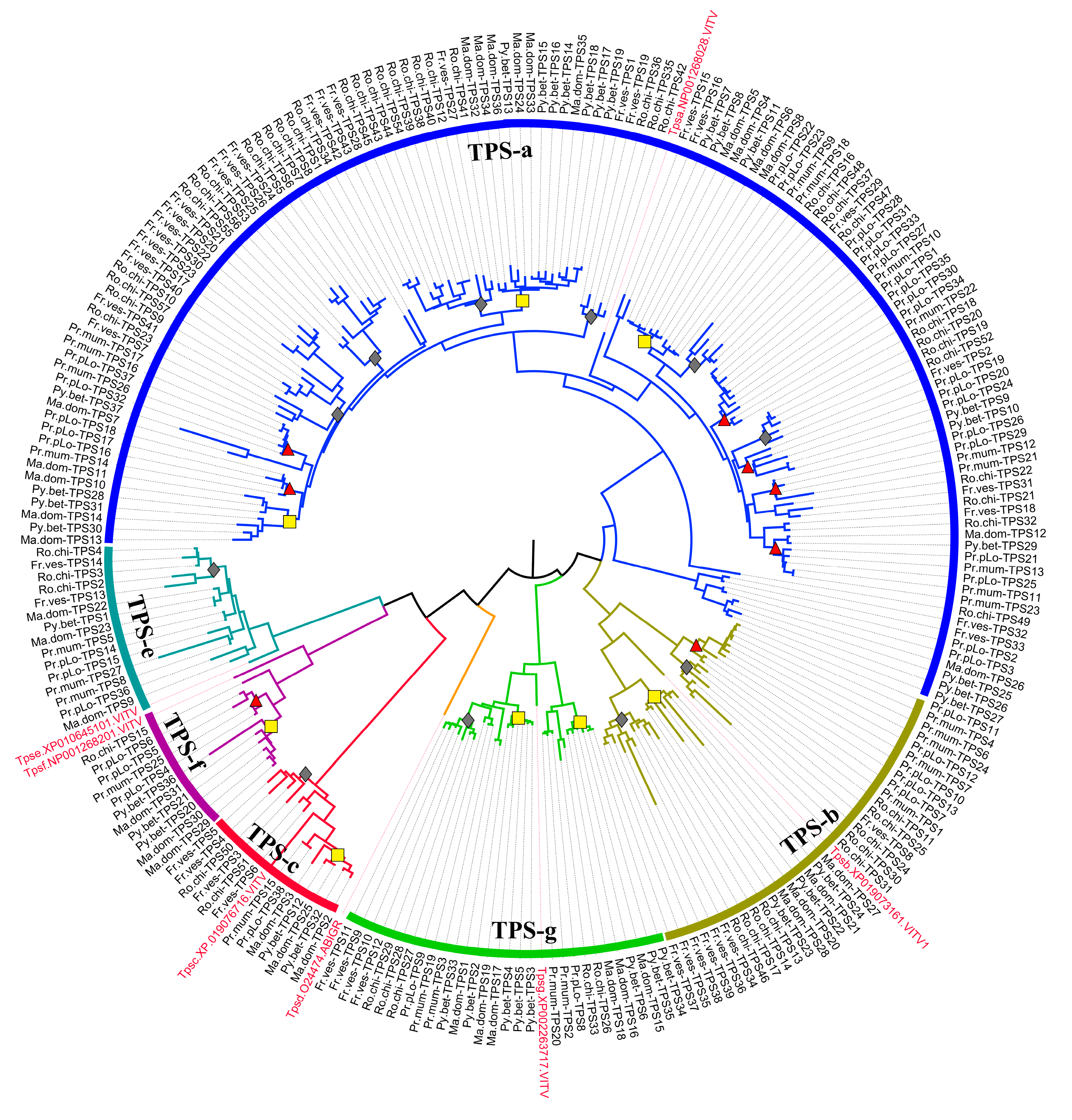Plants 11 00736 g003