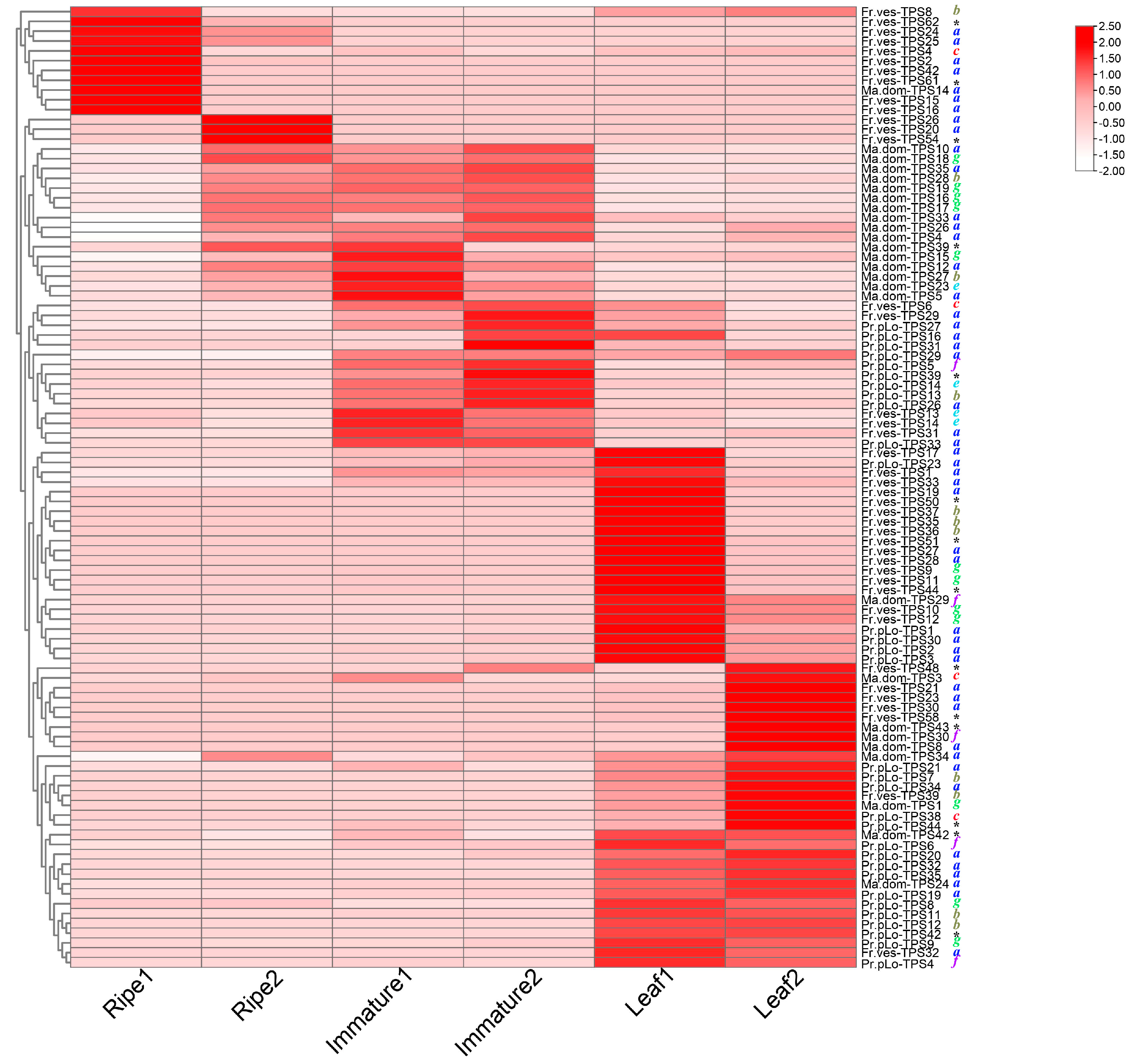 Plants 11 00736 g006