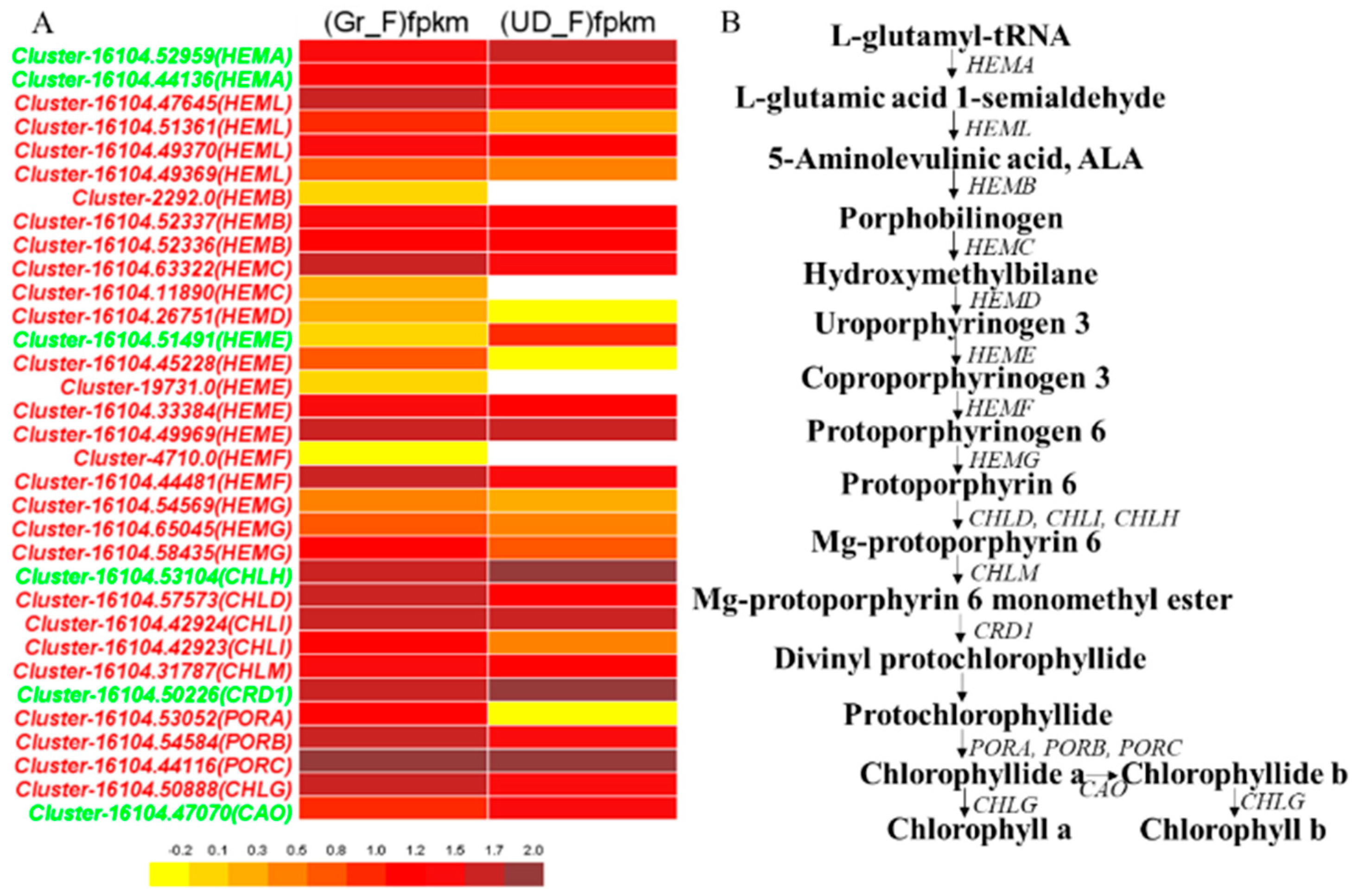 Plants 11 00742 g003 Plants 11 00742 g003