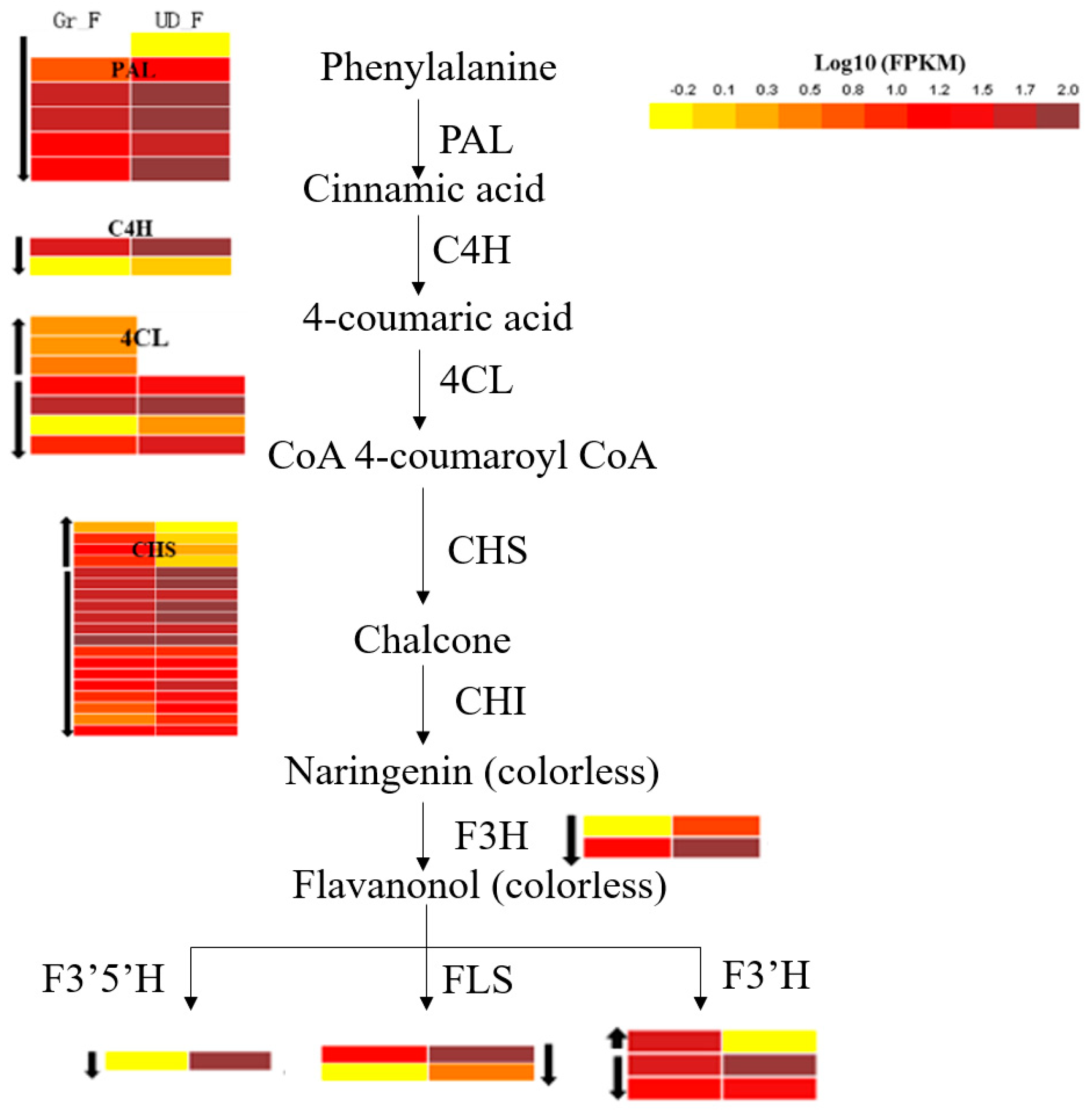 Plants 11 00742 g004 Plants 11 00742 g004
