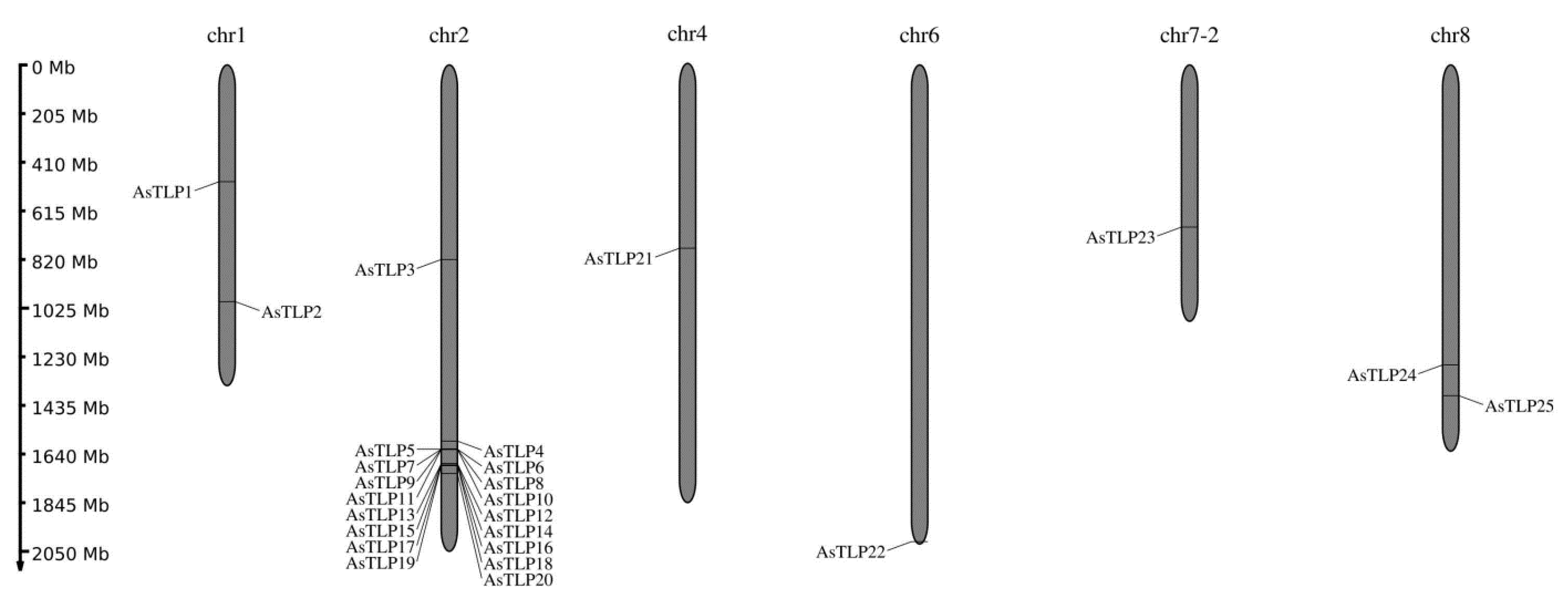 Plants 11 00748 g001