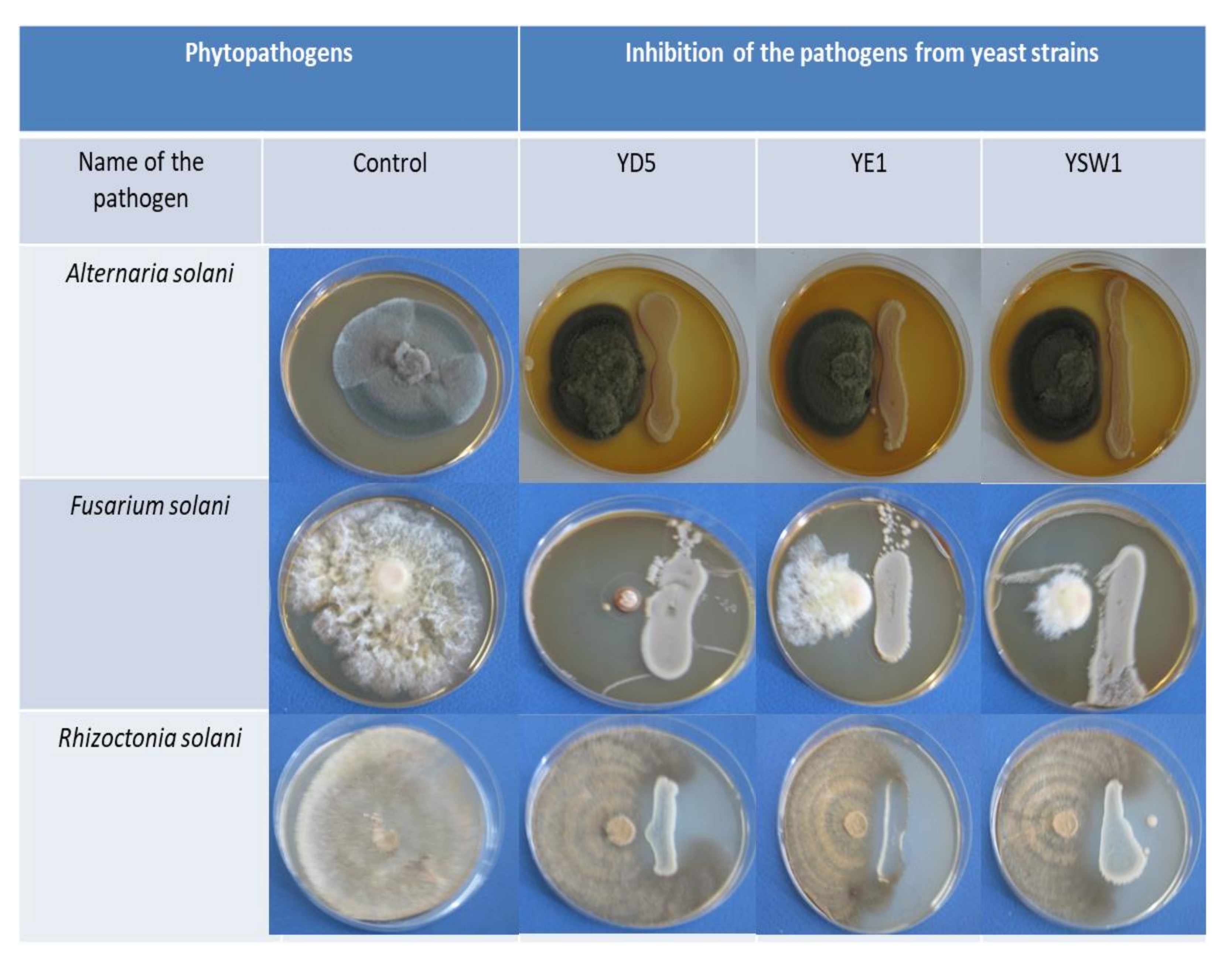 Plants 11 00751 g002 Plants 11 00751 g002