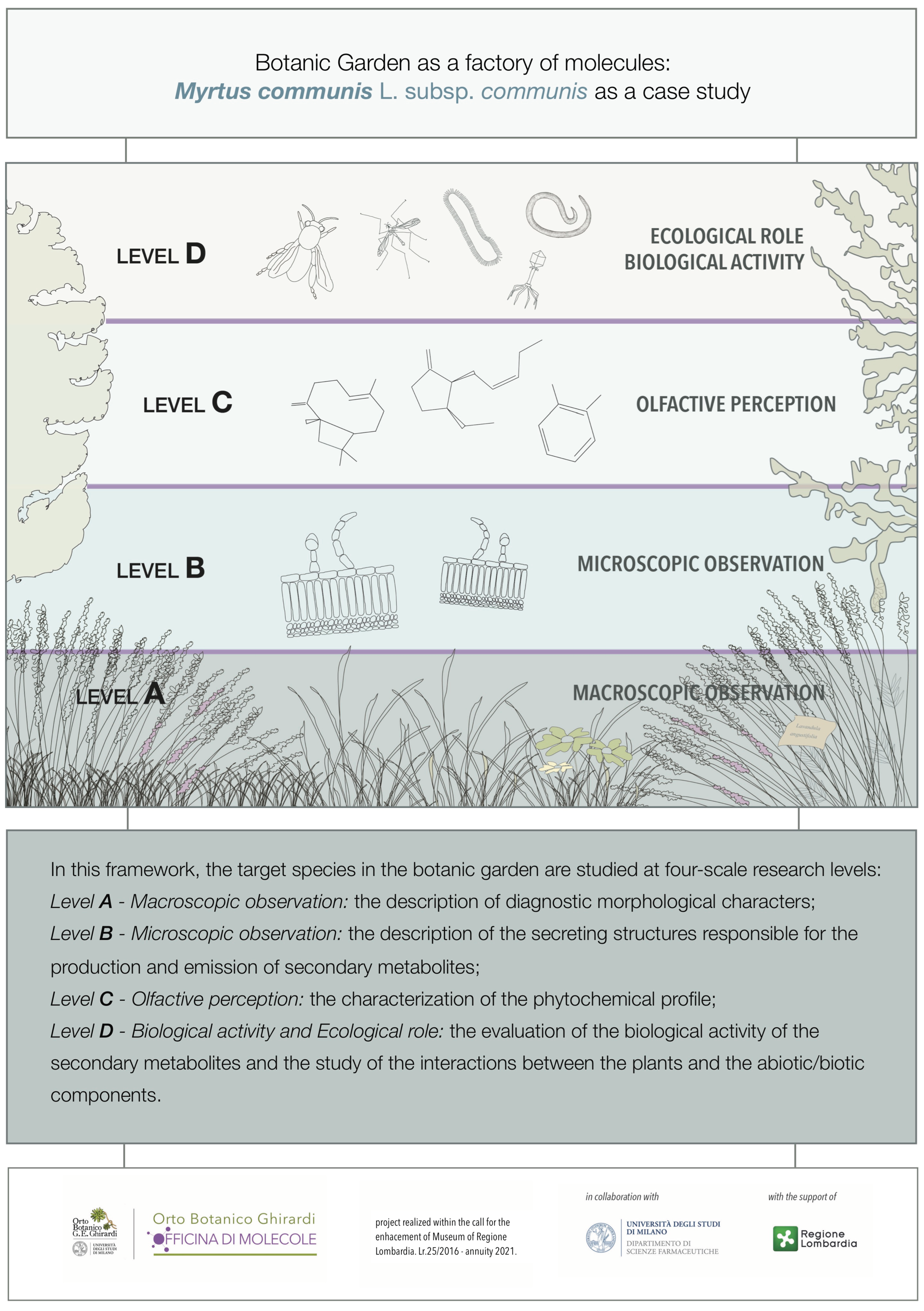 Plants 11 00754 g001 Plants 11 00754 g001