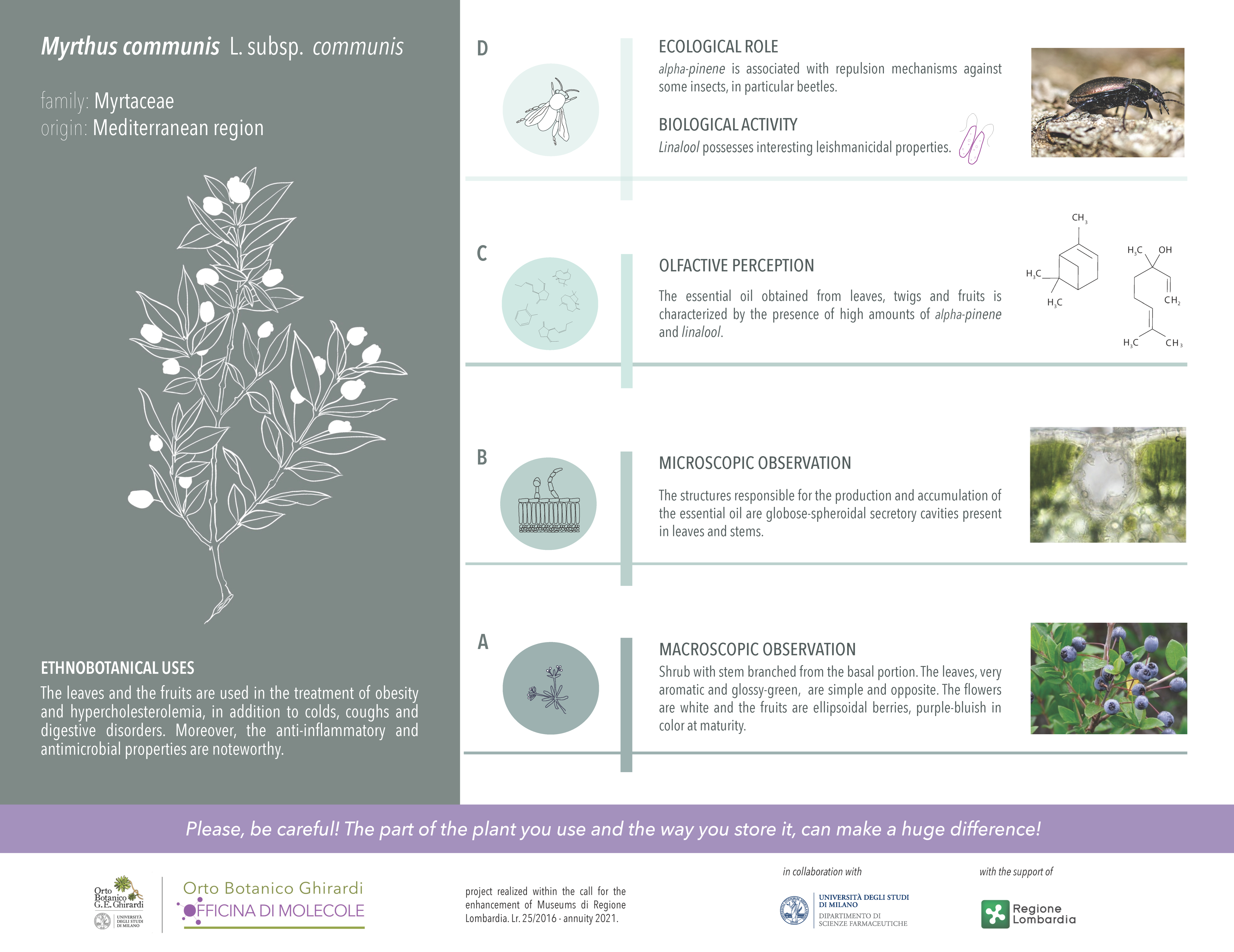 Plants 11 00754 g003 Plants 11 00754 g003