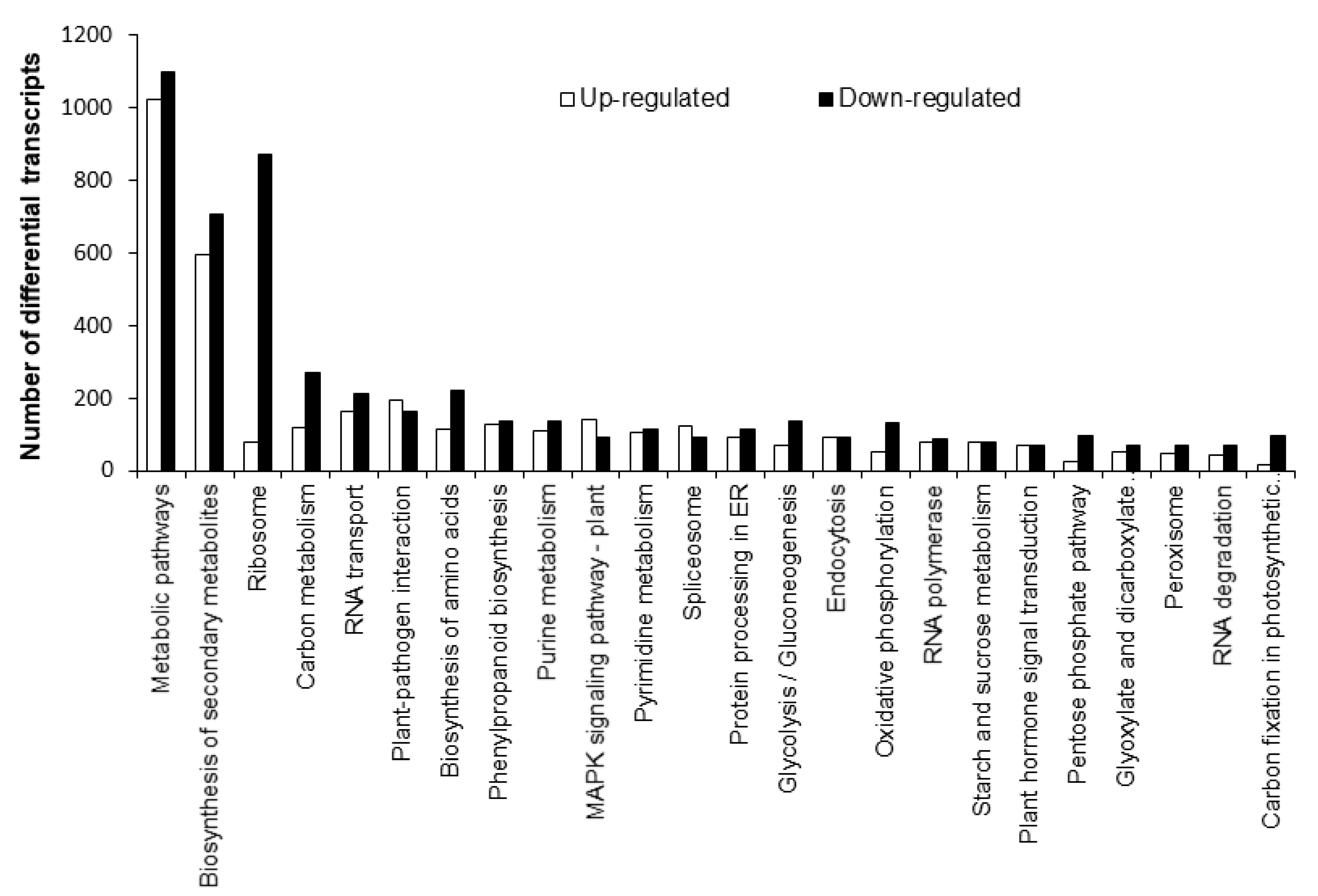 Plants 11 00759 g002
