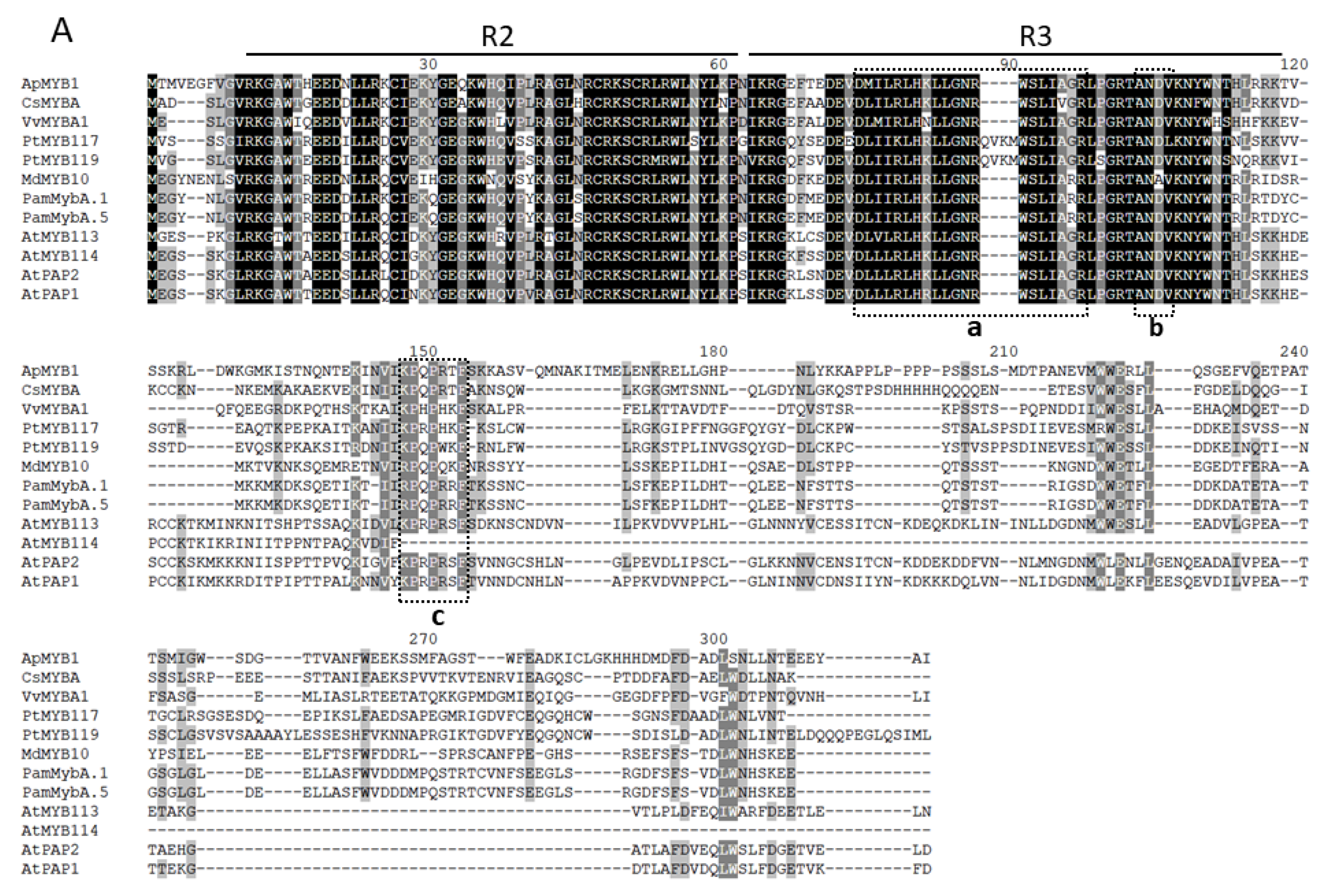 Plants 11 00759 g004a