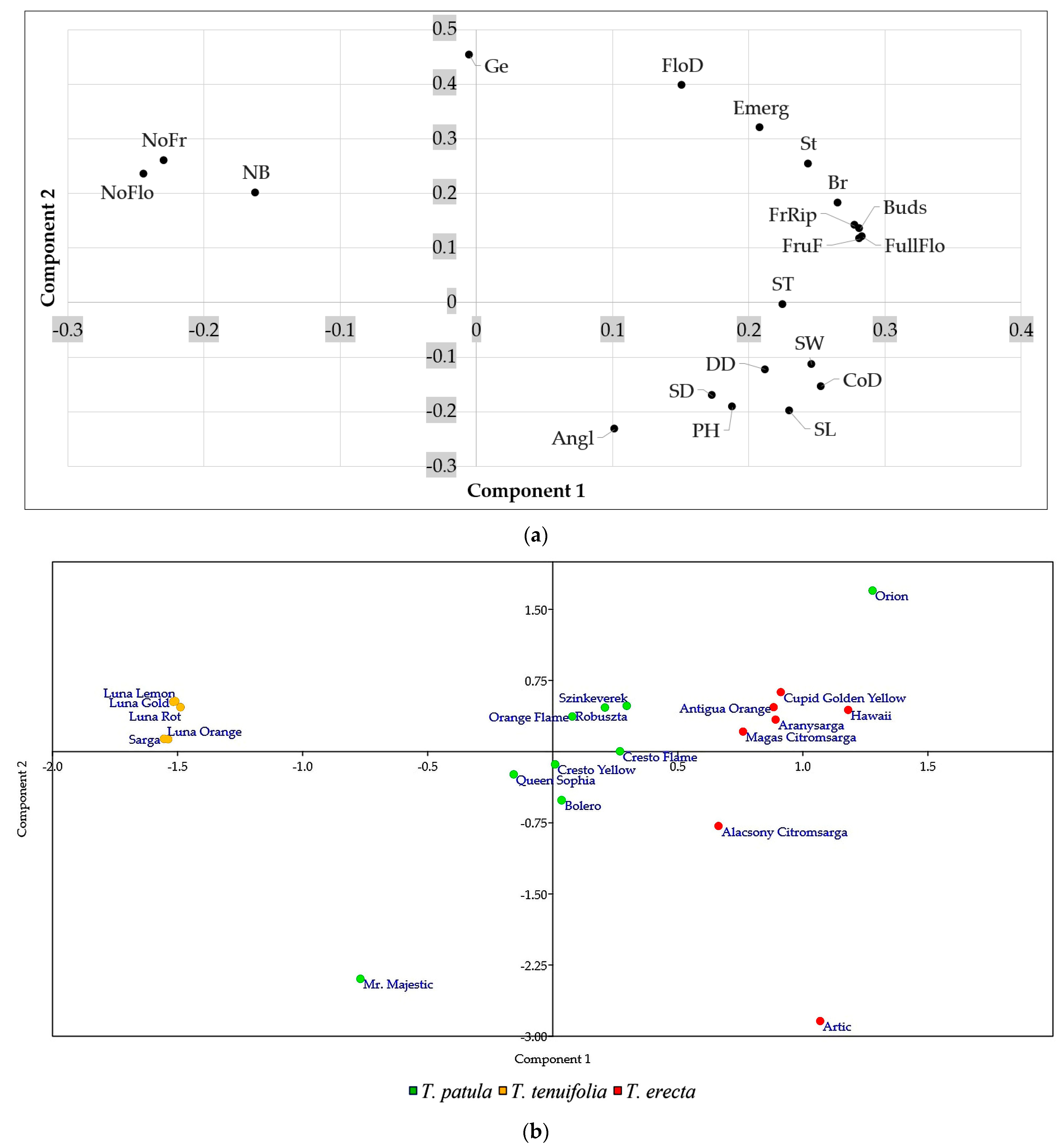 Plants 11 00760 g006