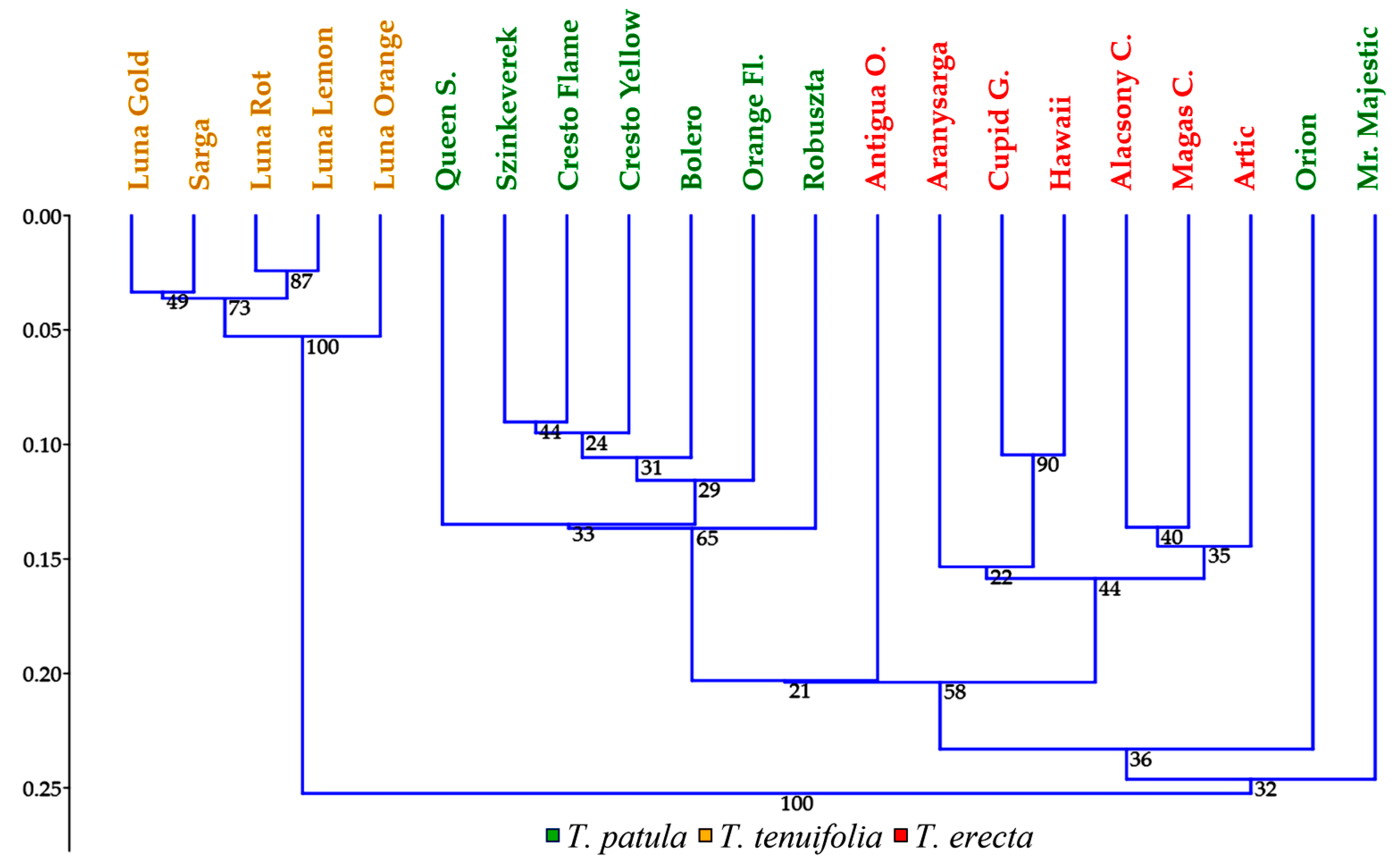 Plants 11 00760 g007