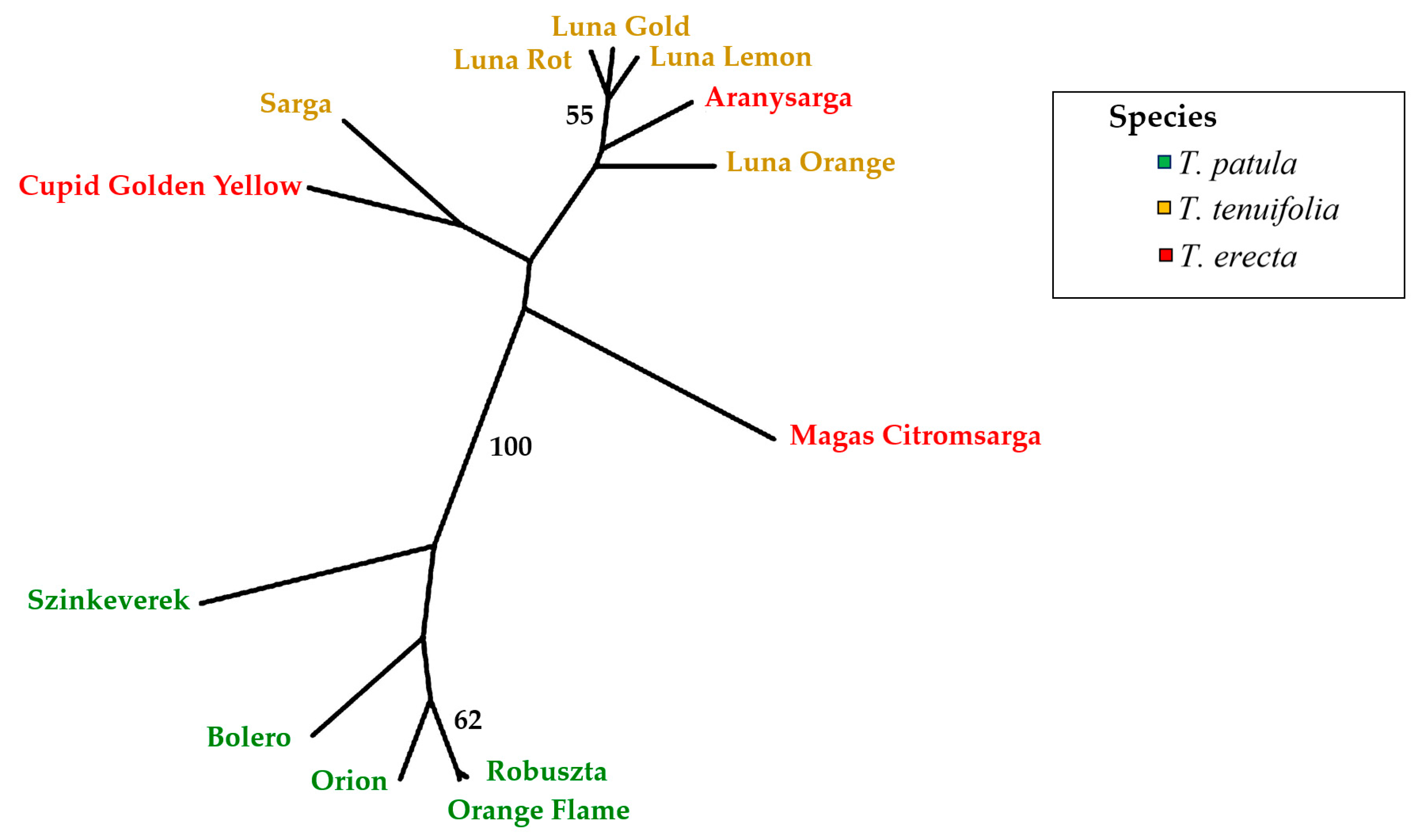 Plants 11 00760 g008