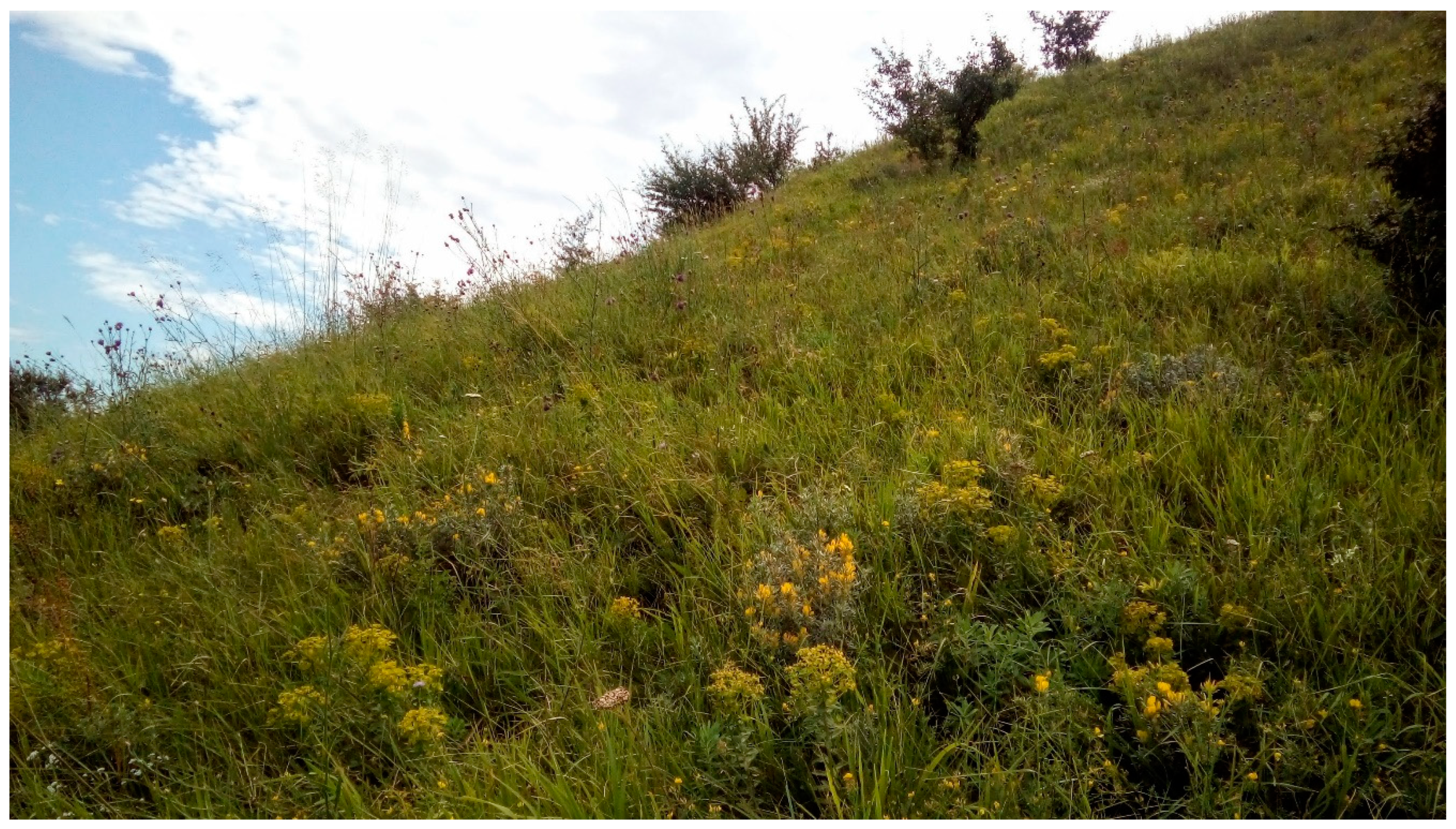 Plants 11 00763 g007