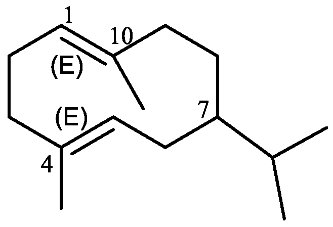 Plants 11 00769 g001 Plants 11 00769 g001