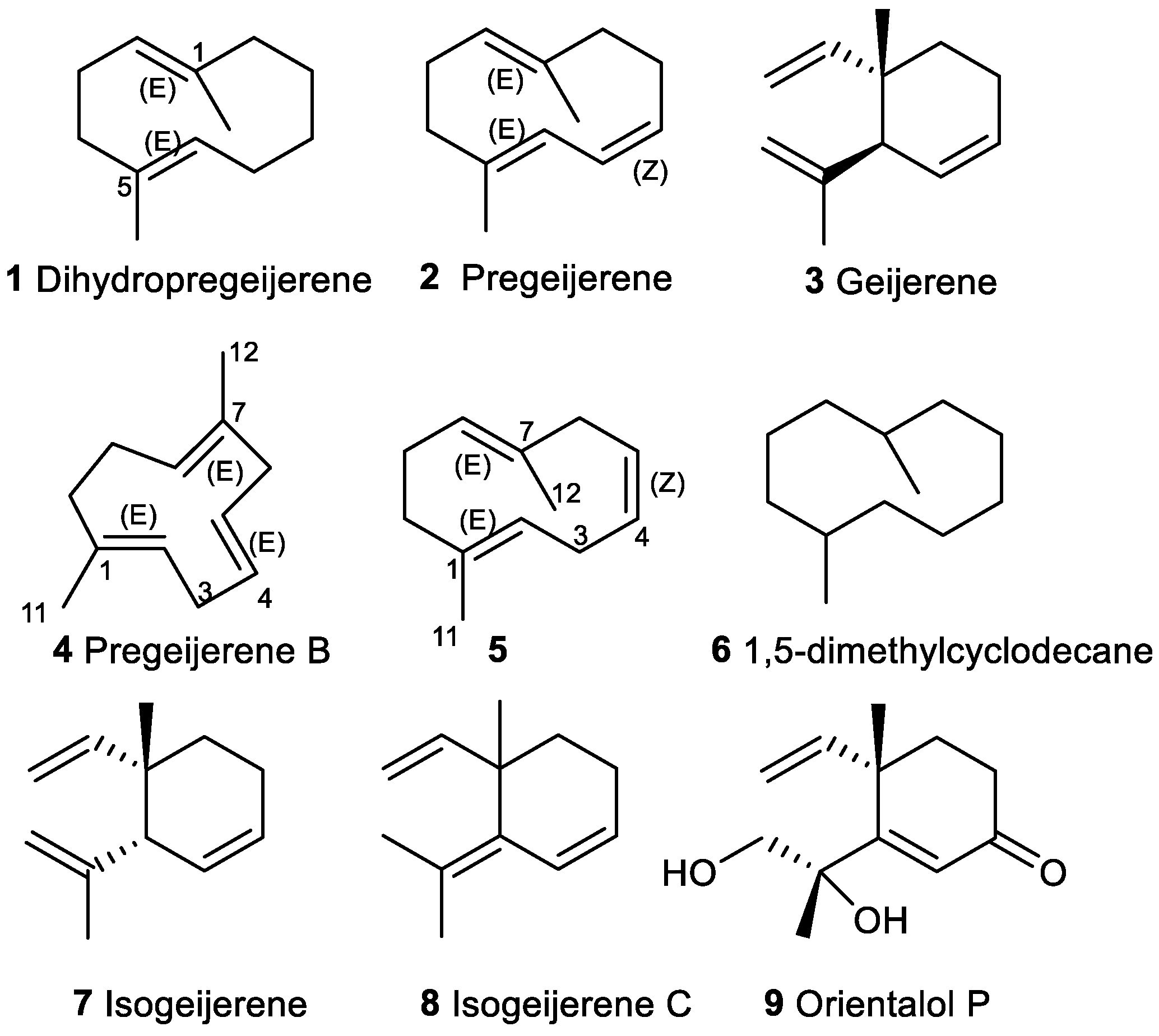 Plants 11 00769 g002 Plants 11 00769 g002