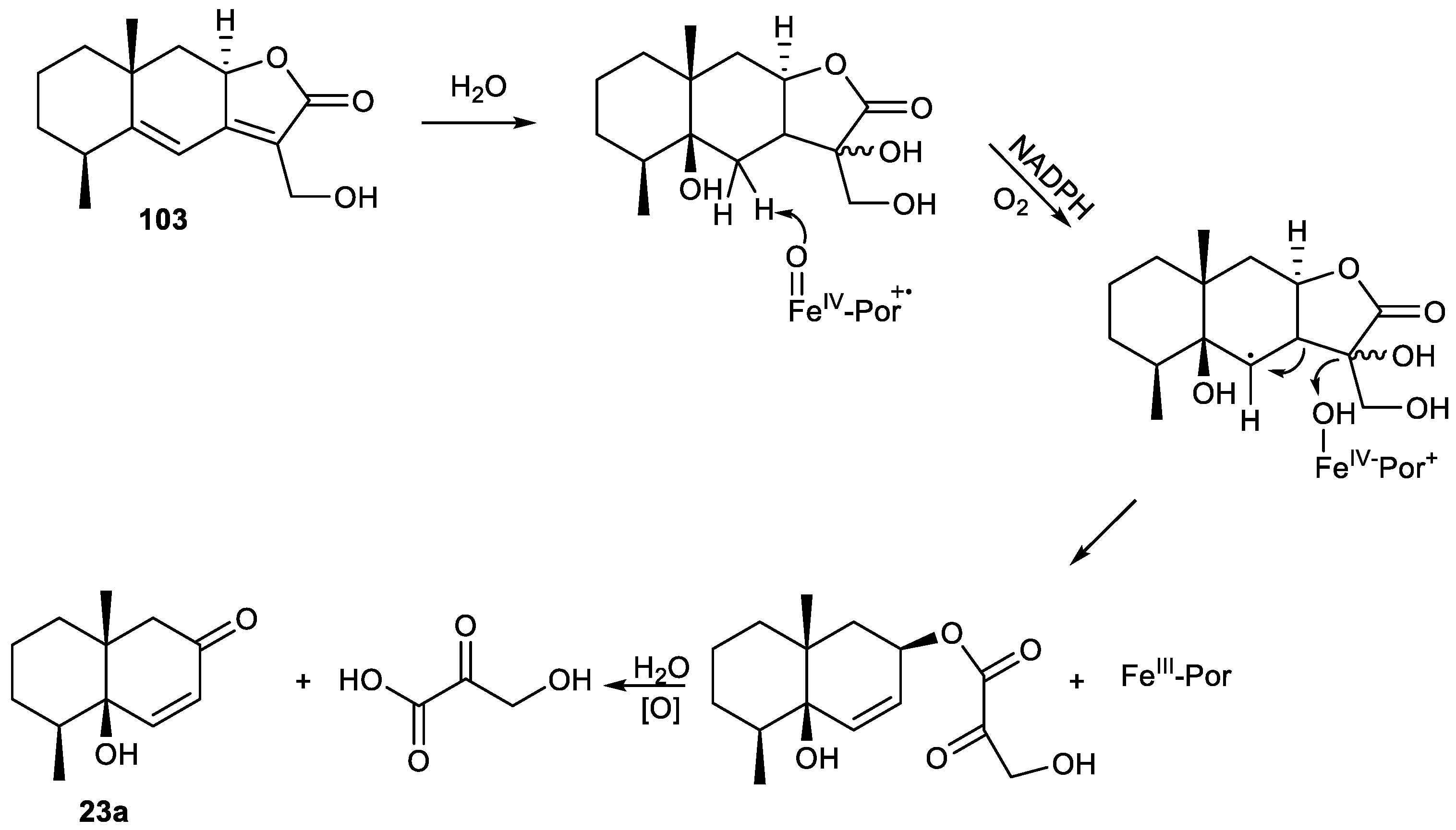 Plants 11 00769 g011 Plants 11 00769 g011