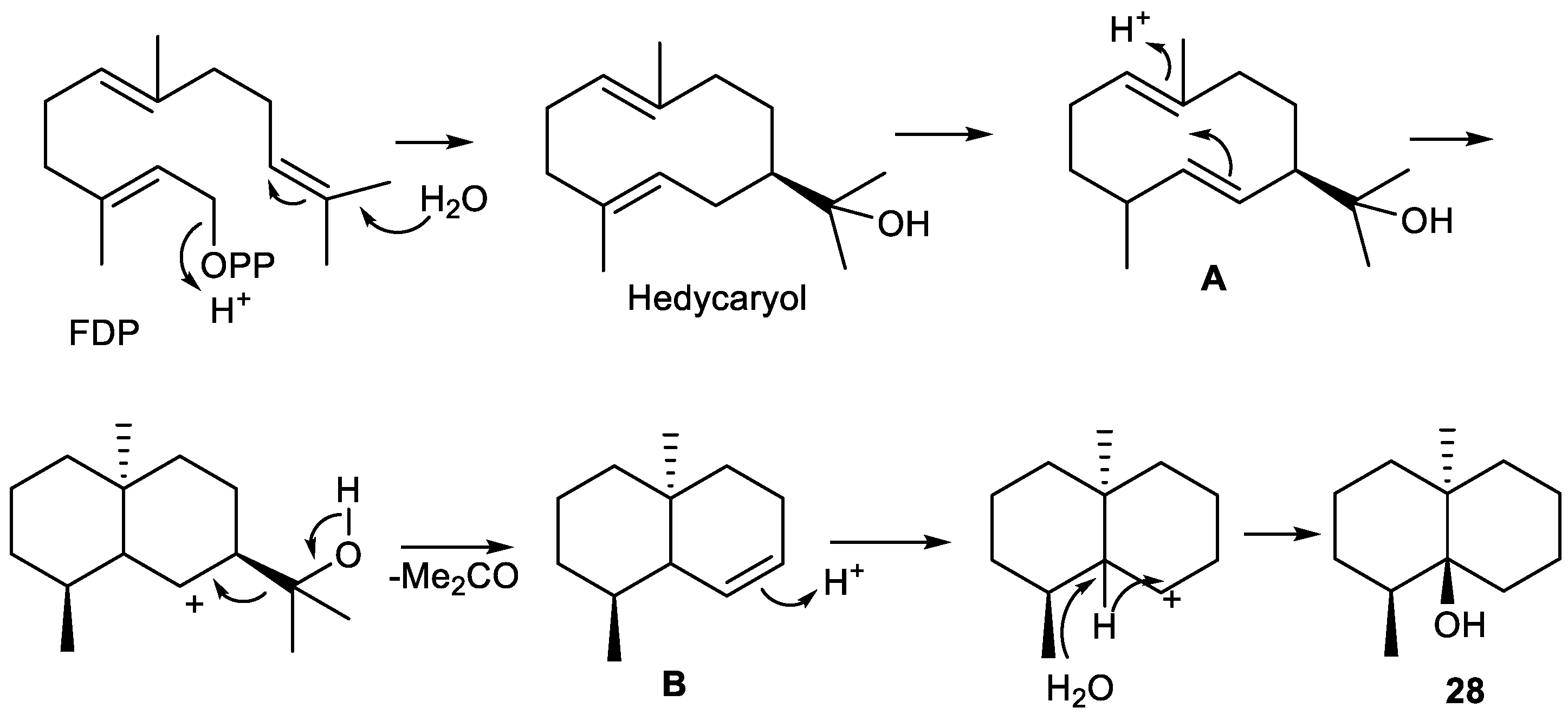 Plants 11 00769 g012 Plants 11 00769 g012