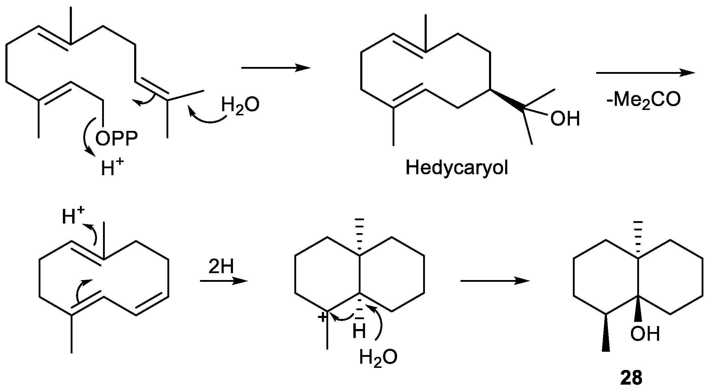Plants 11 00769 g013 Plants 11 00769 g013
