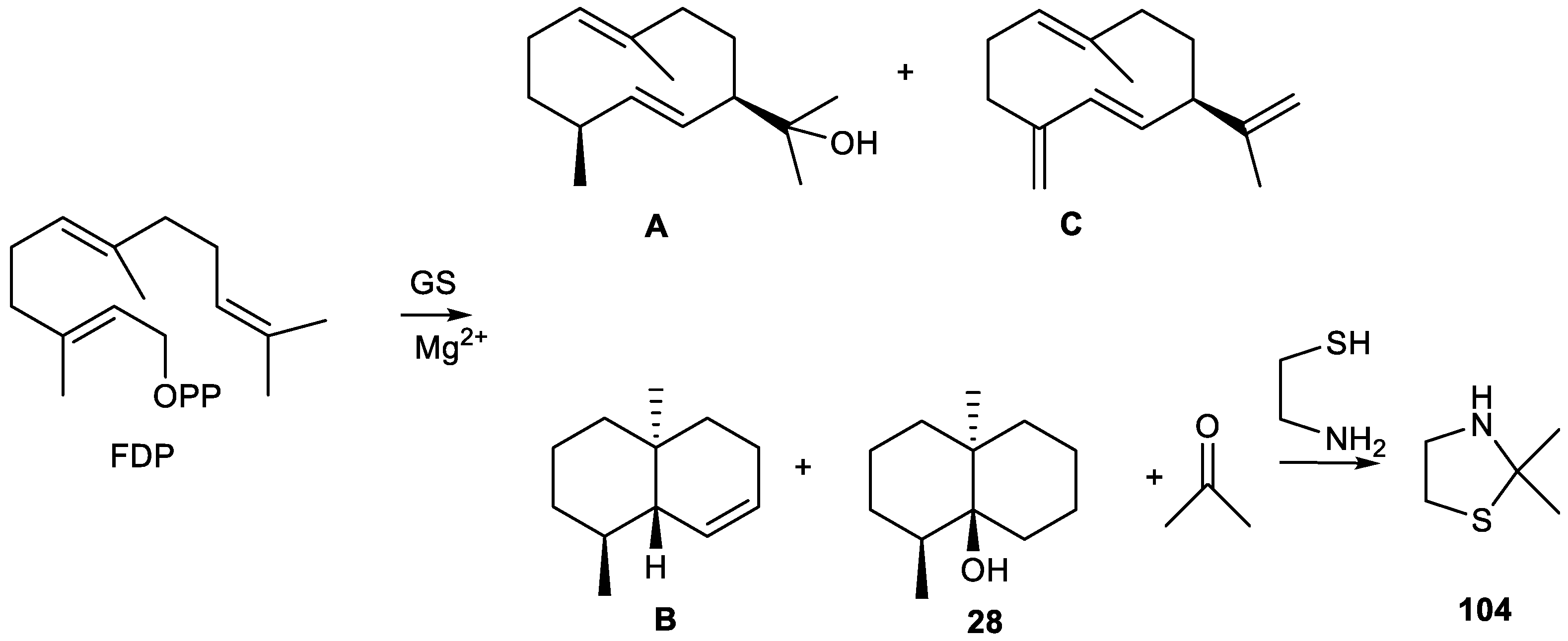 Plants 11 00769 g014 Plants 11 00769 g014