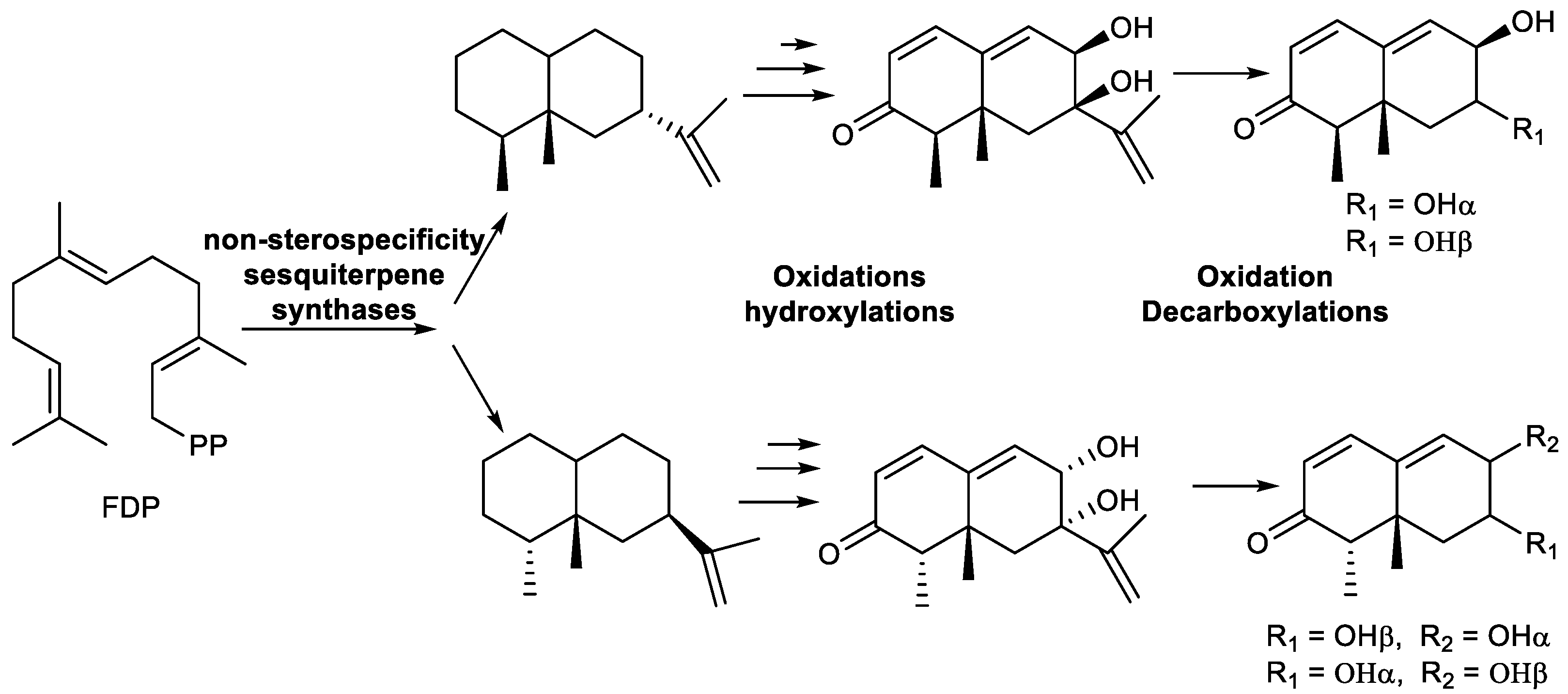 Plants 11 00769 g015 Plants 11 00769 g015