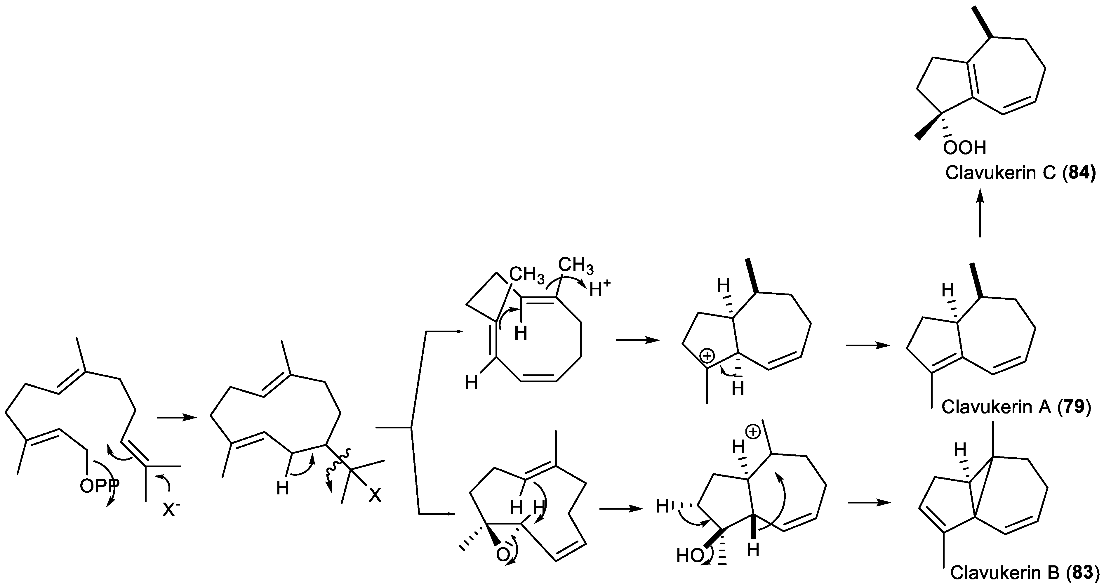 Plants 11 00769 g018 Plants 11 00769 g018