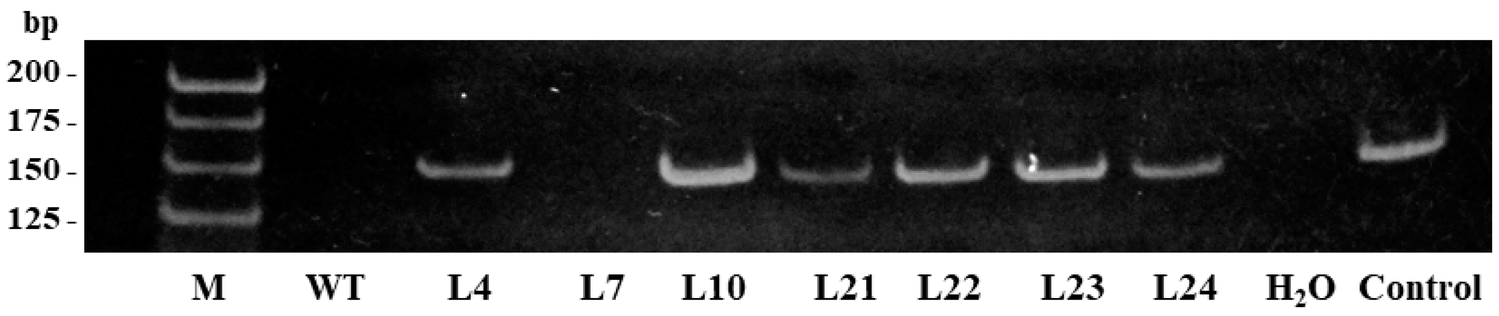 Plants 11 00770 g002