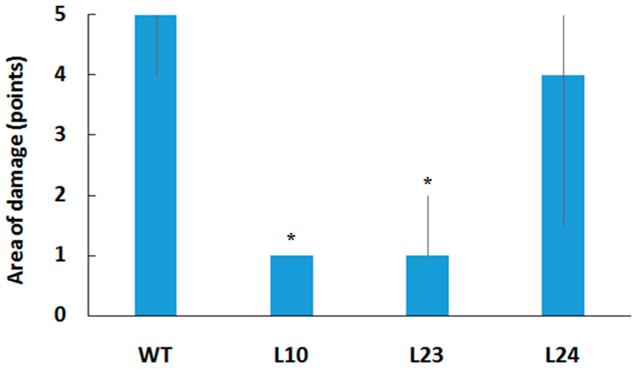 Plants 11 00770 g005