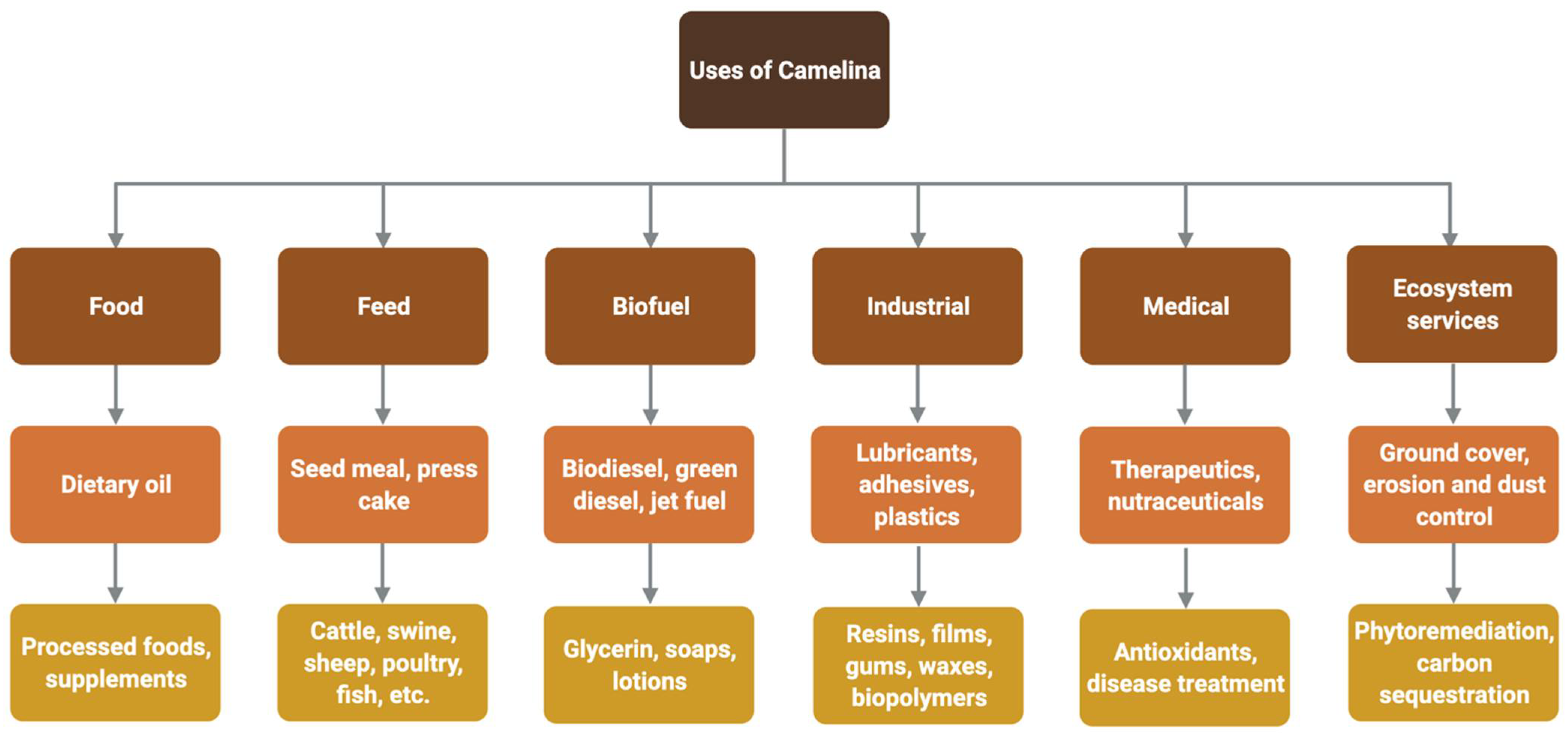 Plants 11 00772 g002