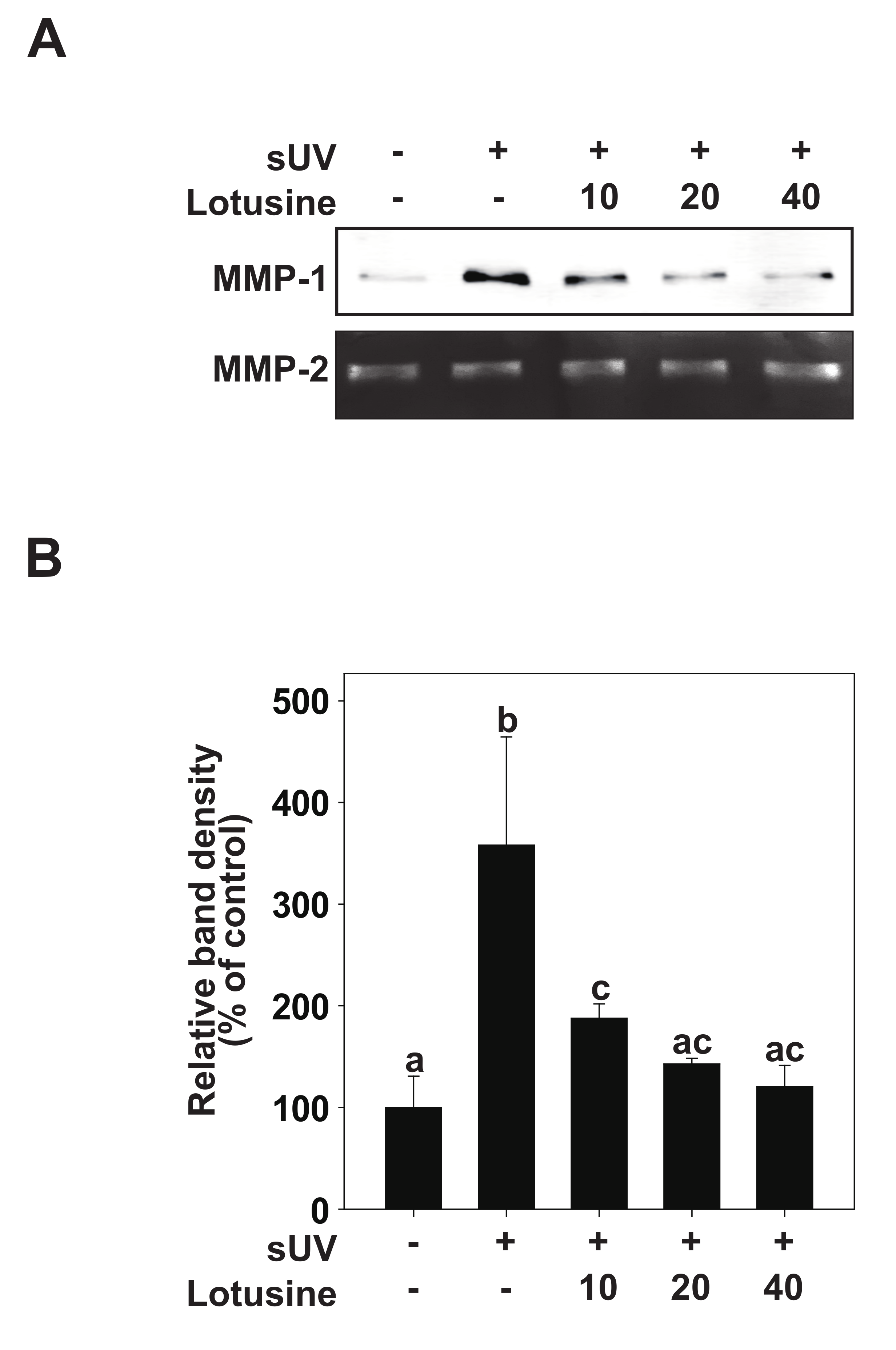 Plants 11 00773 g002 550