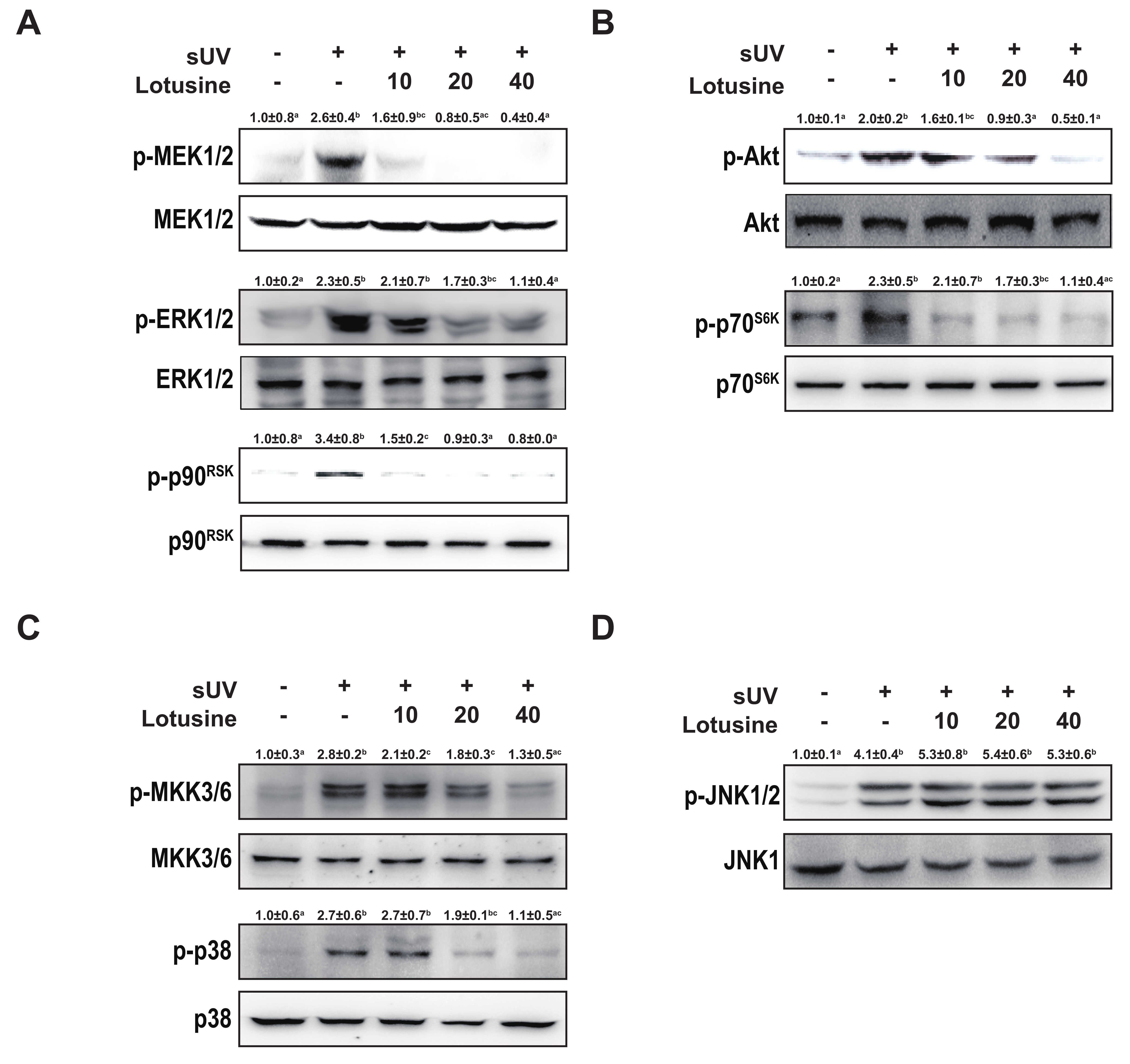 Plants 11 00773 g004 550