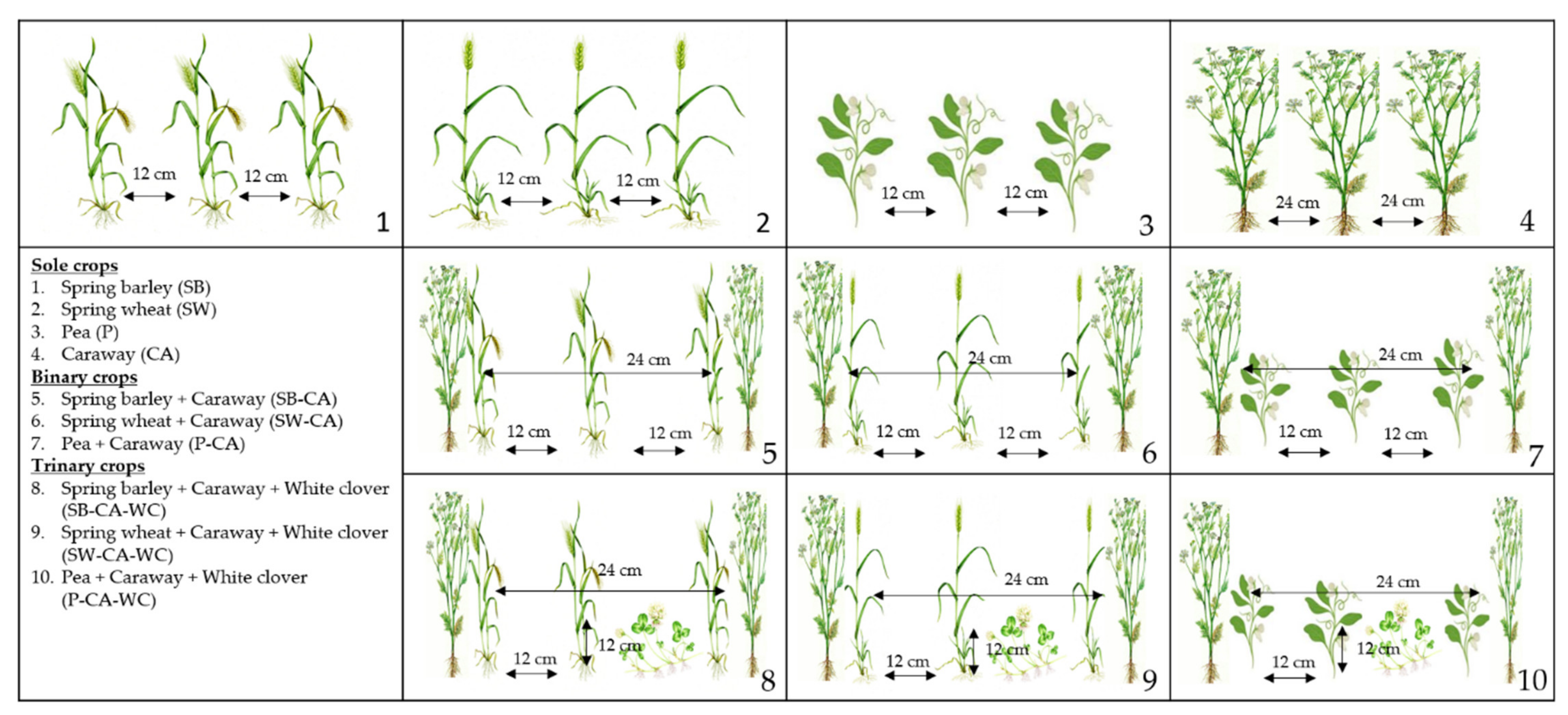 Plants 11 00774 g006 550