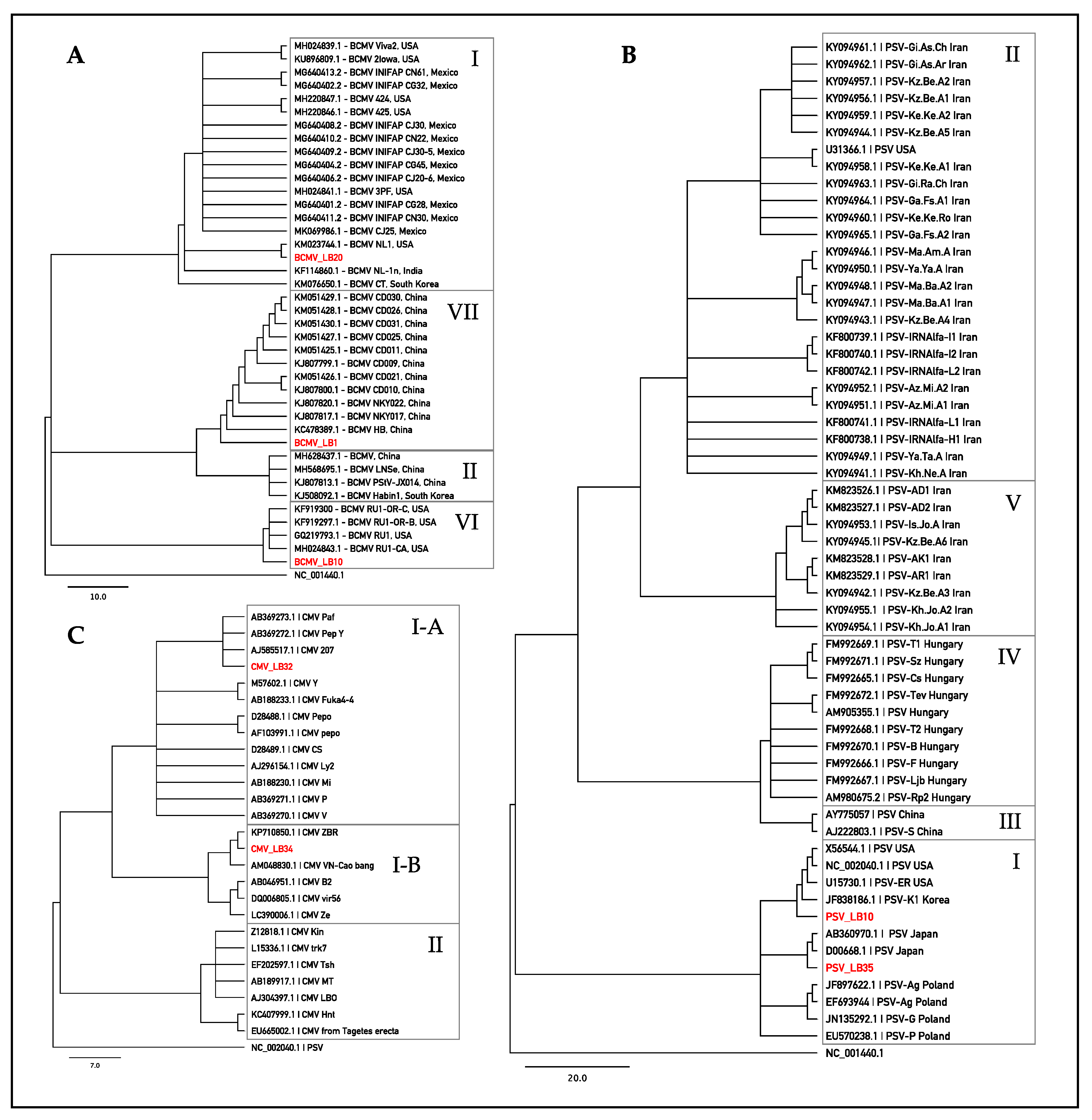 Plants 11 00779 g003