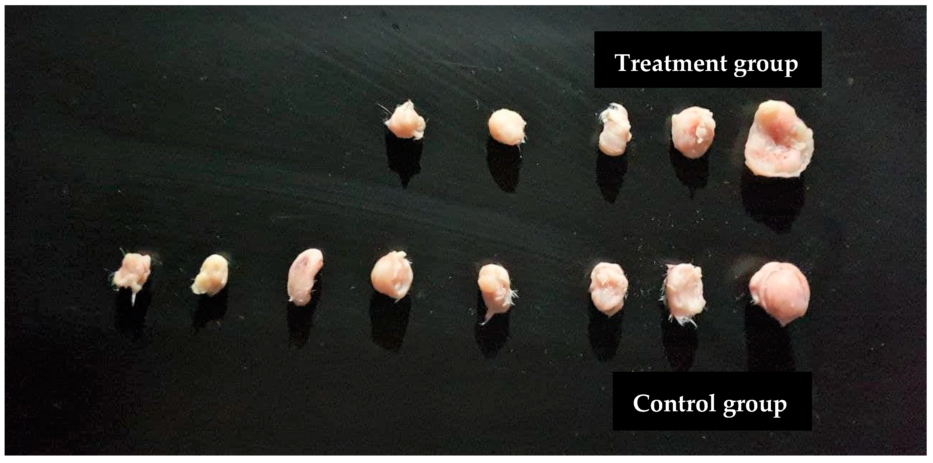 Plants 11 00785 g006