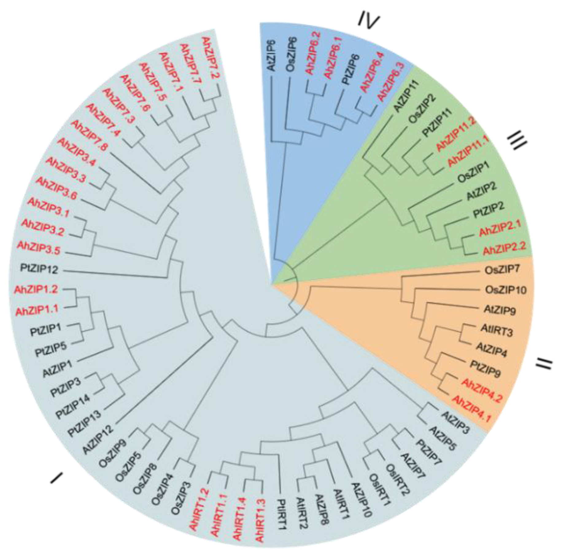 Plants 11 00786 g001
