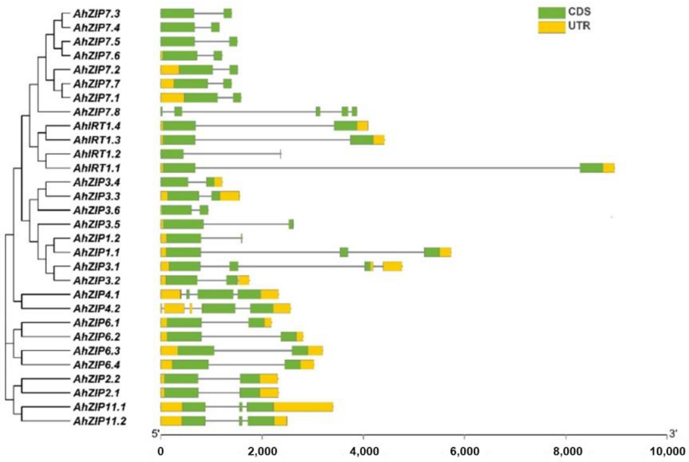 Plants 11 00786 g002
