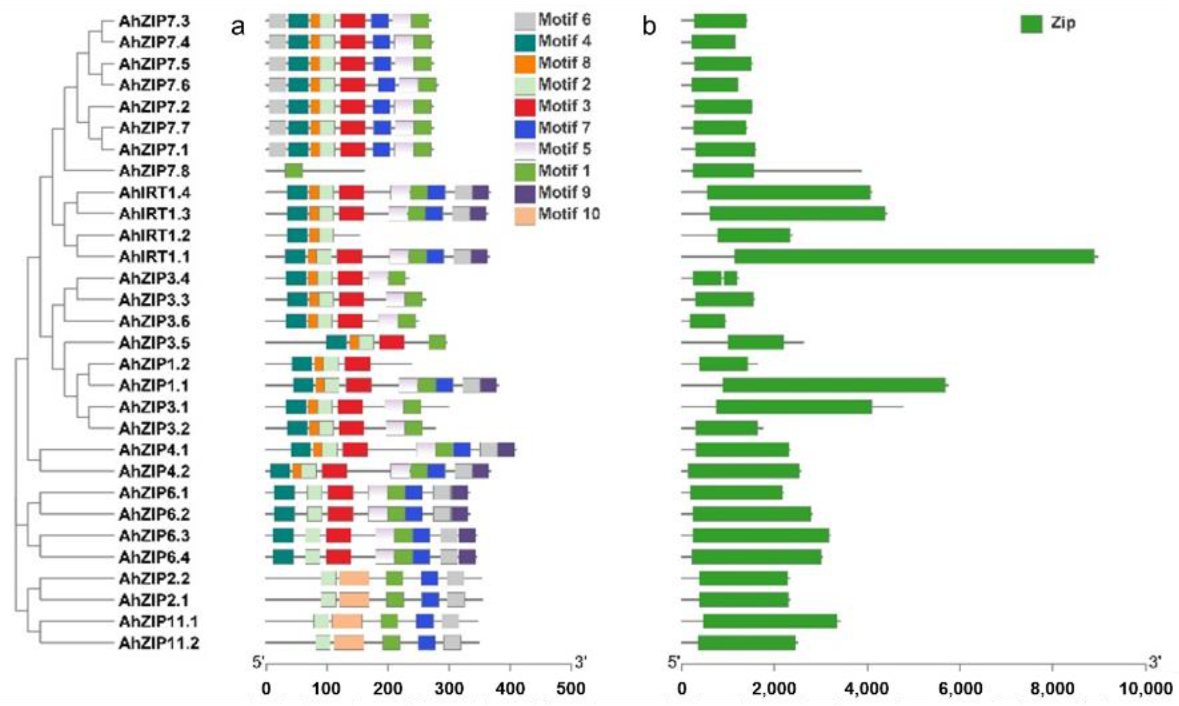 Plants 11 00786 g004