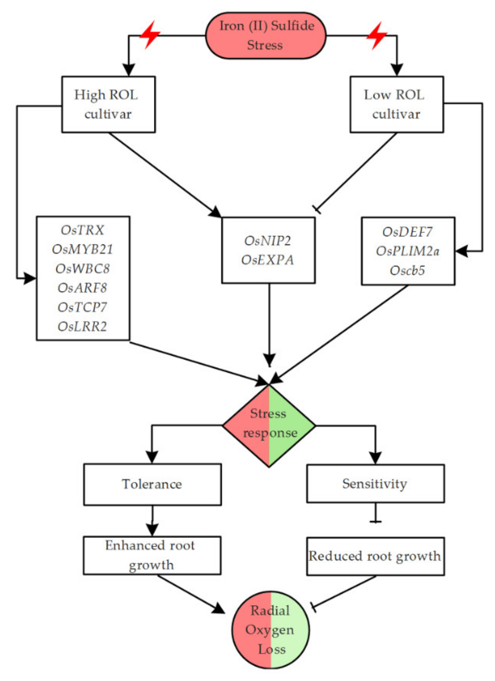 Plants 11 00788 g006