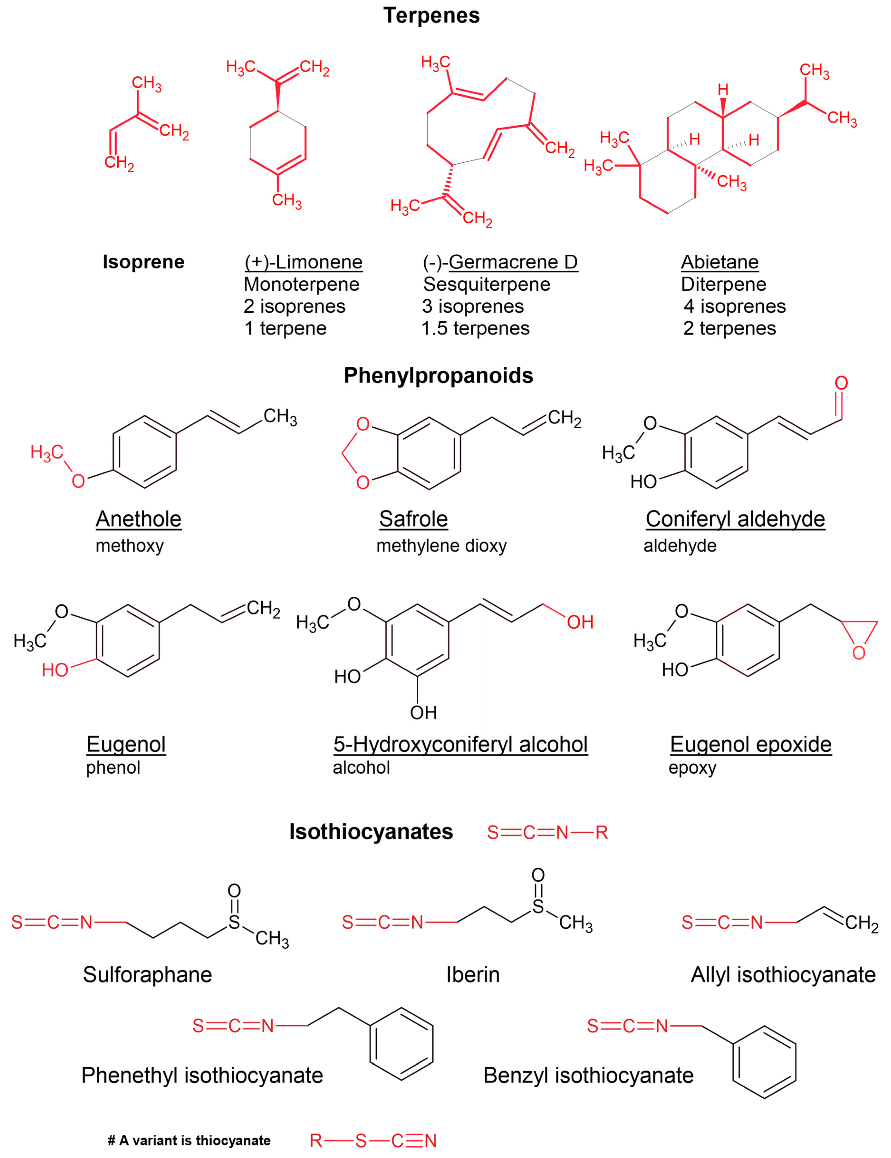 Essential Oil Research: Trends in Biosynthesis, Analytics