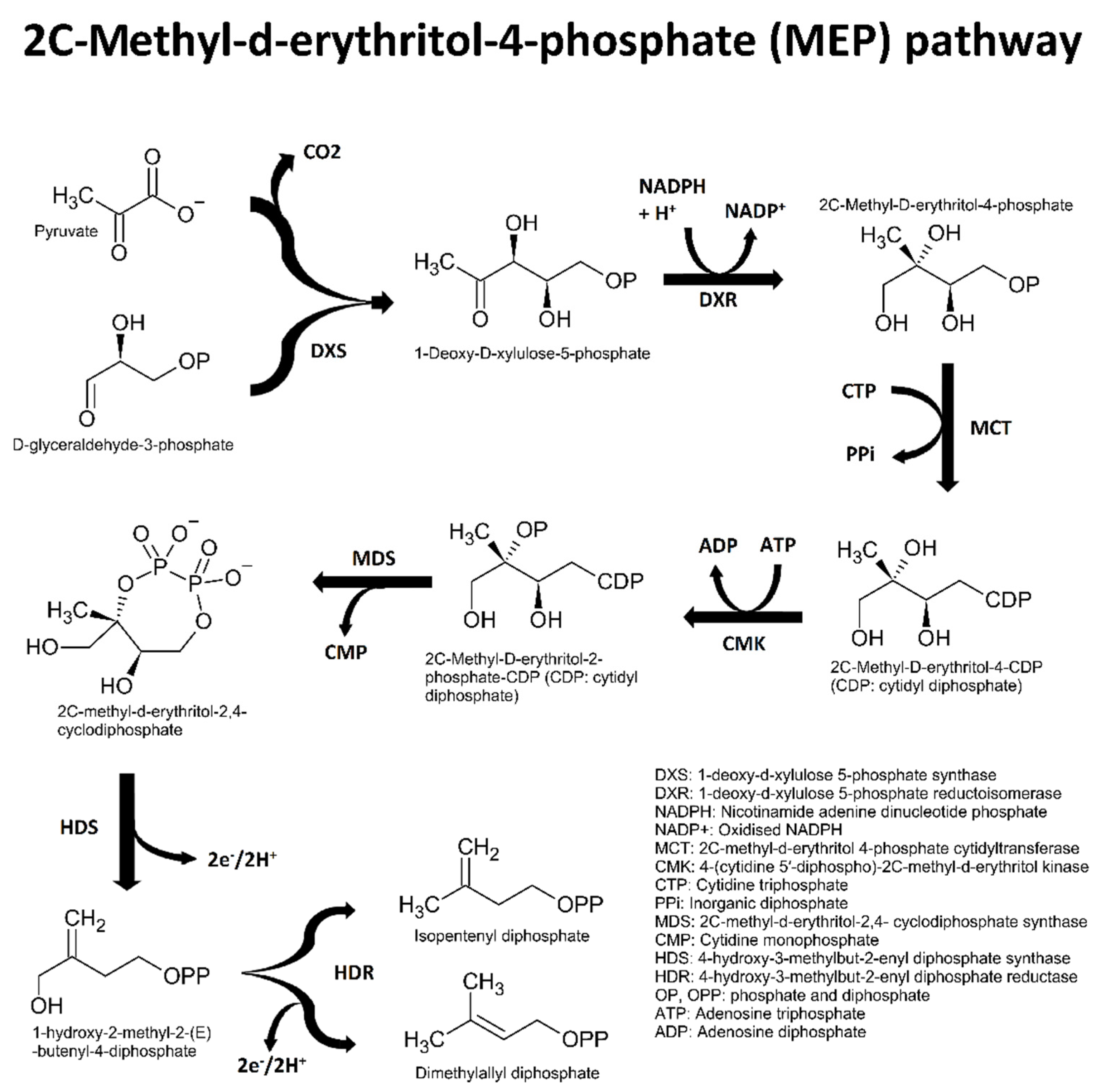 Plants 11 00789 g003 550