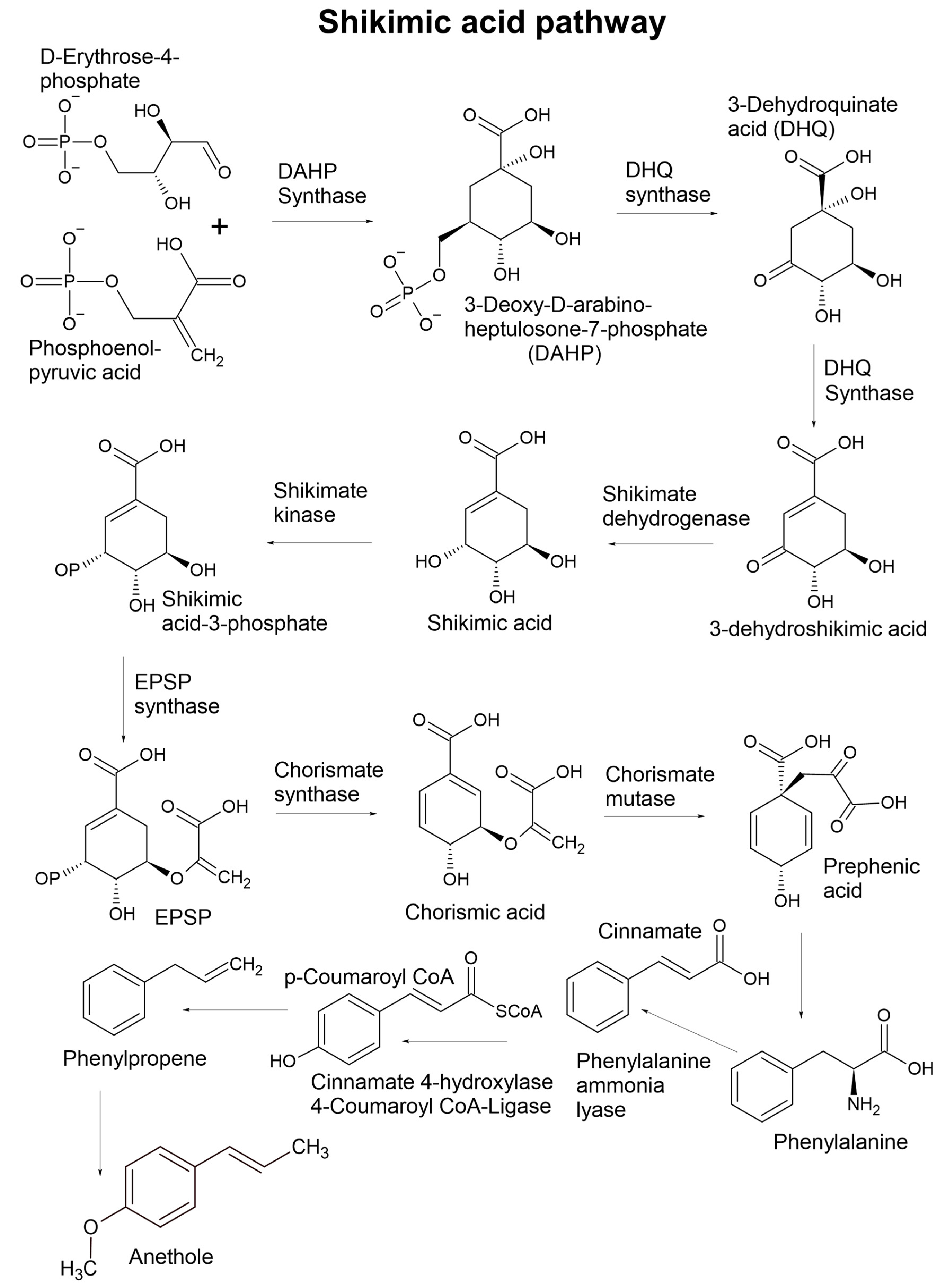 Plants 11 00789 g004 550
