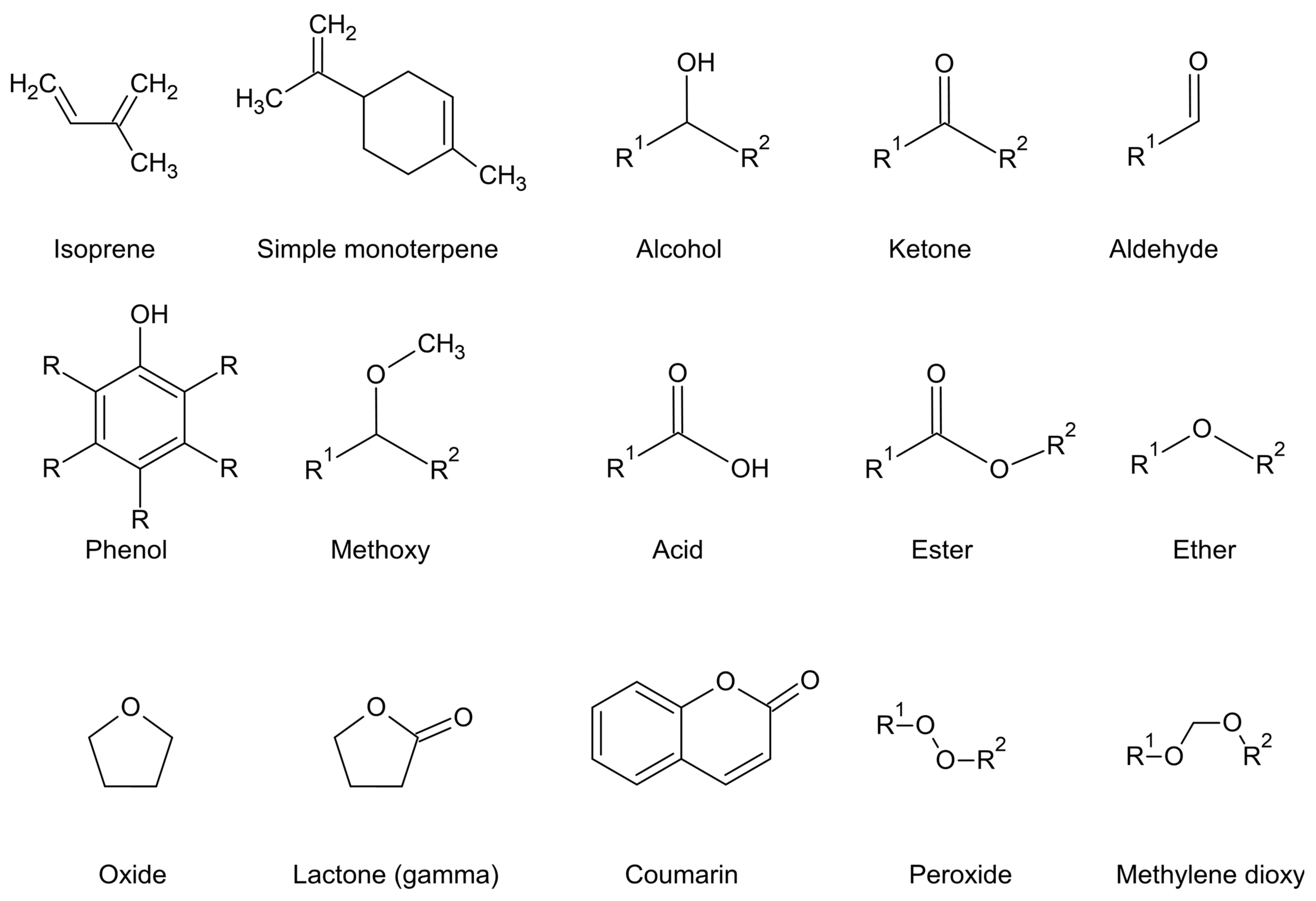 Plants 11 00789 g005 550