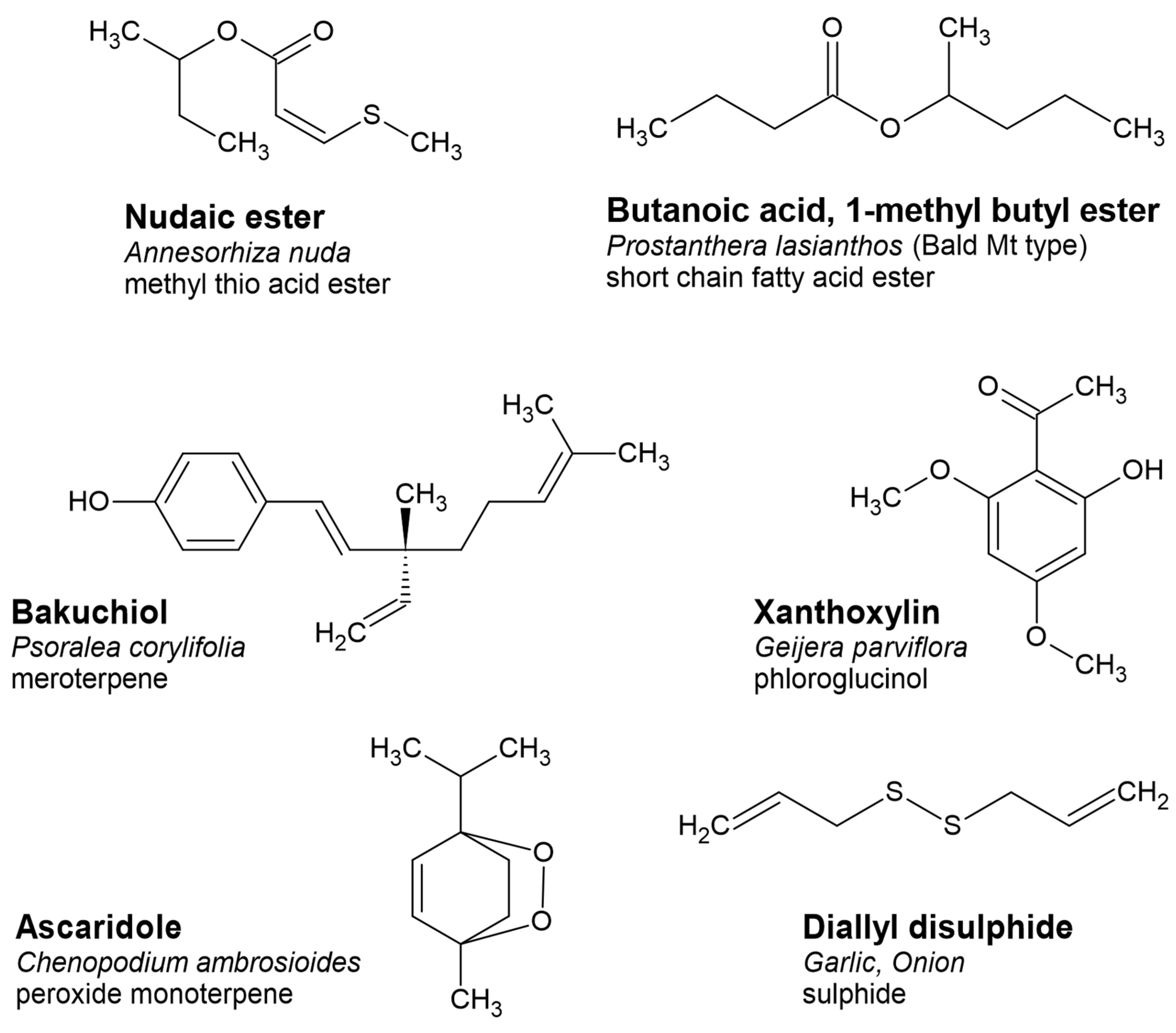 Plants 11 00789 g007 550