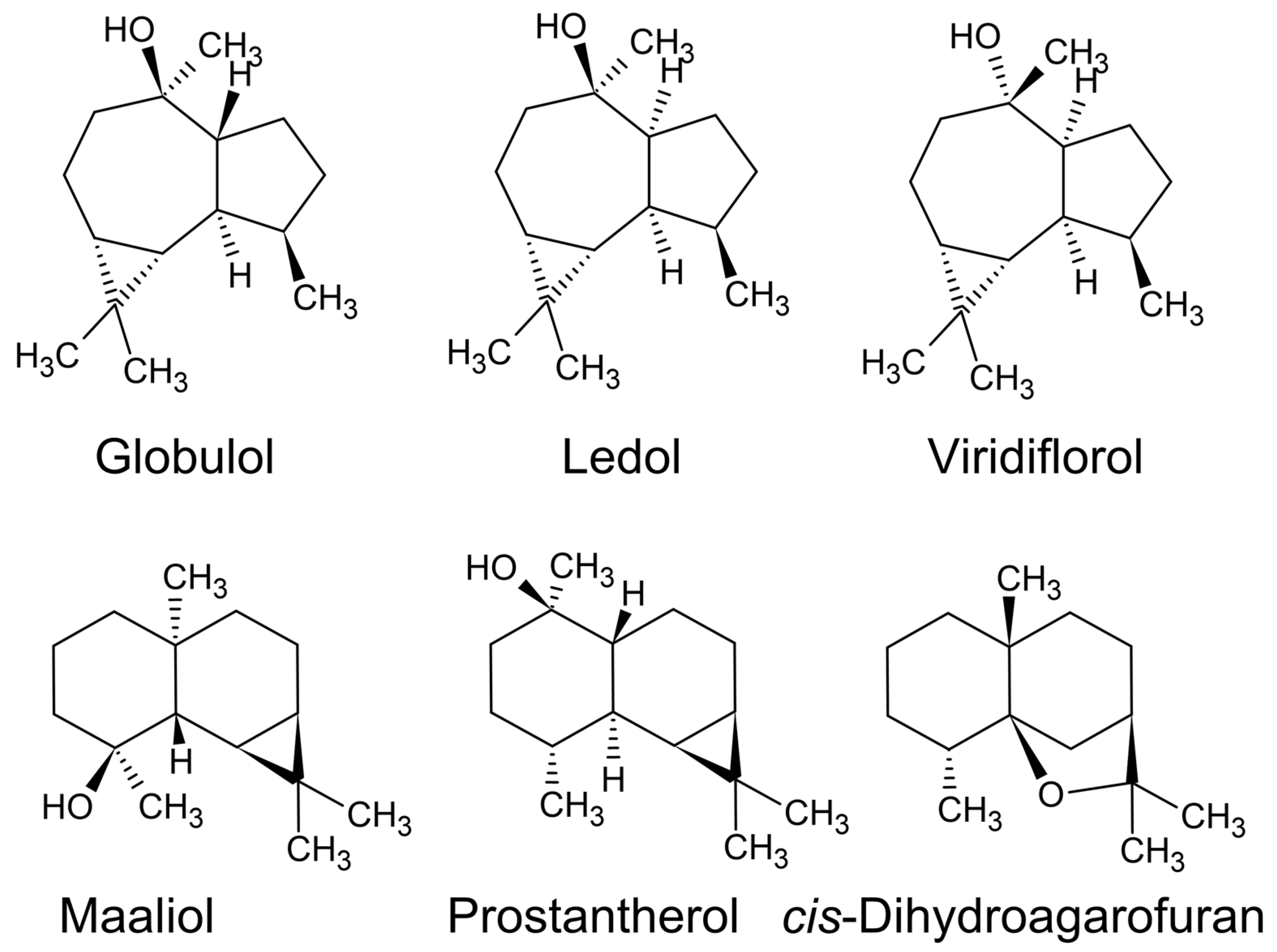 Plants 11 00789 g008 550