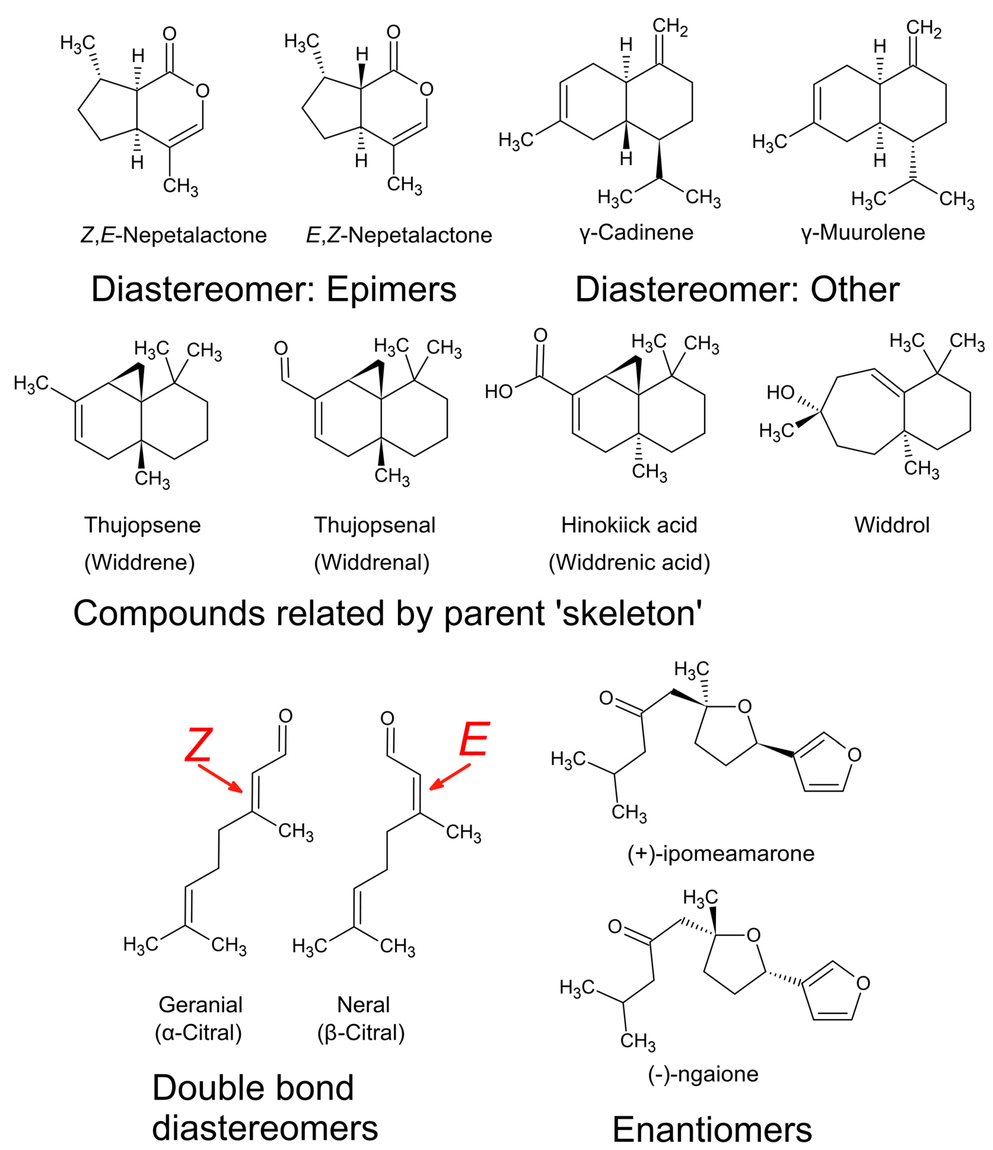 Plants 11 00789 g011 550