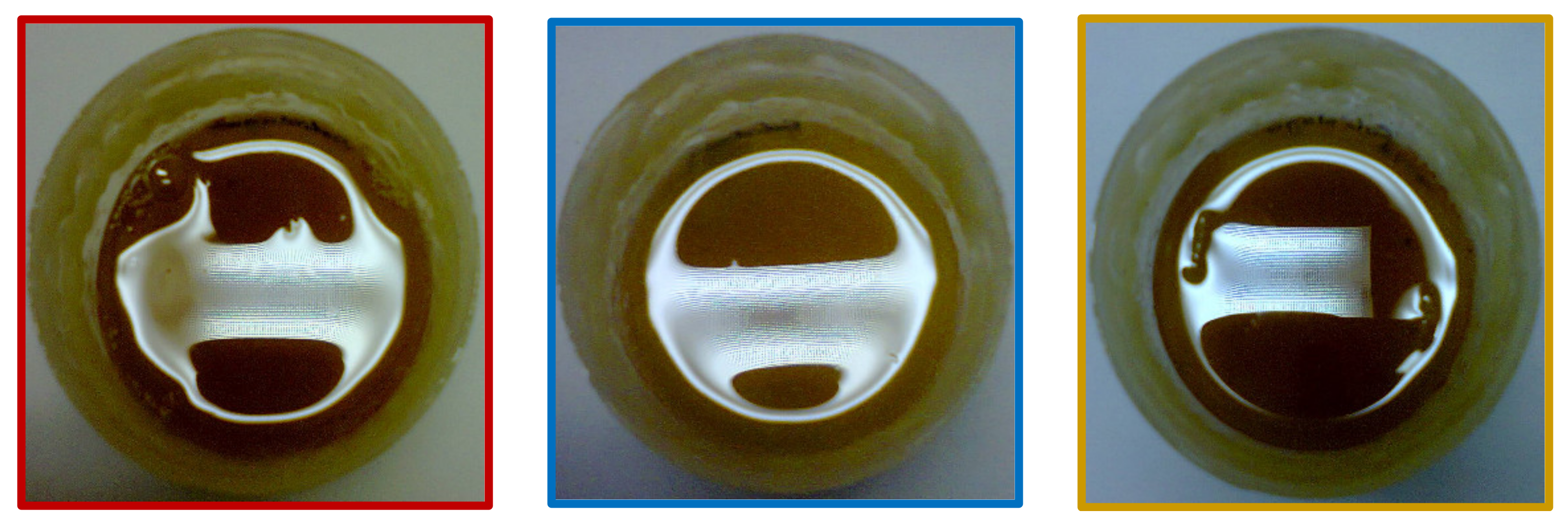 Plants 11 00792 g003b