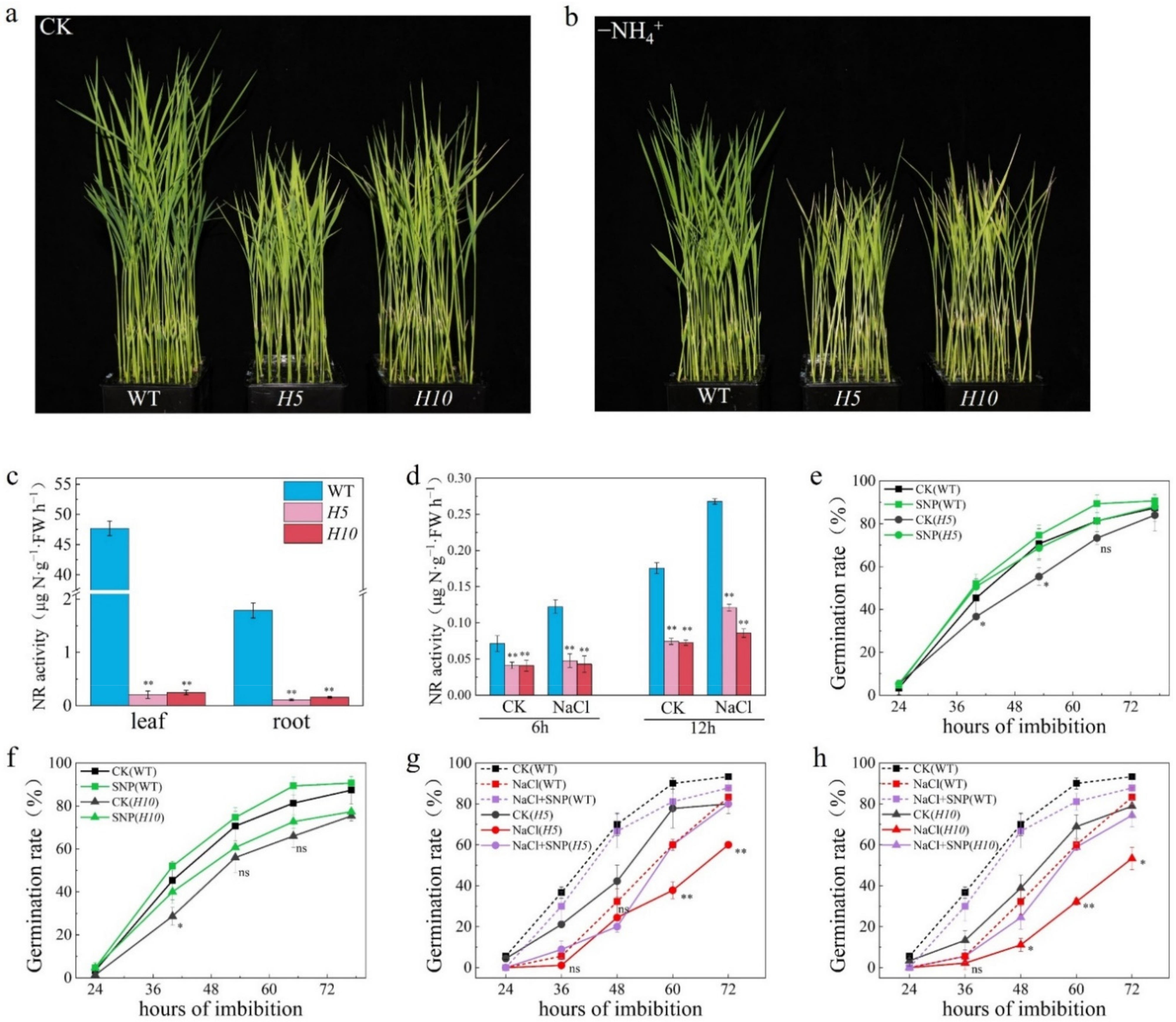 Plants 11 00795 g002