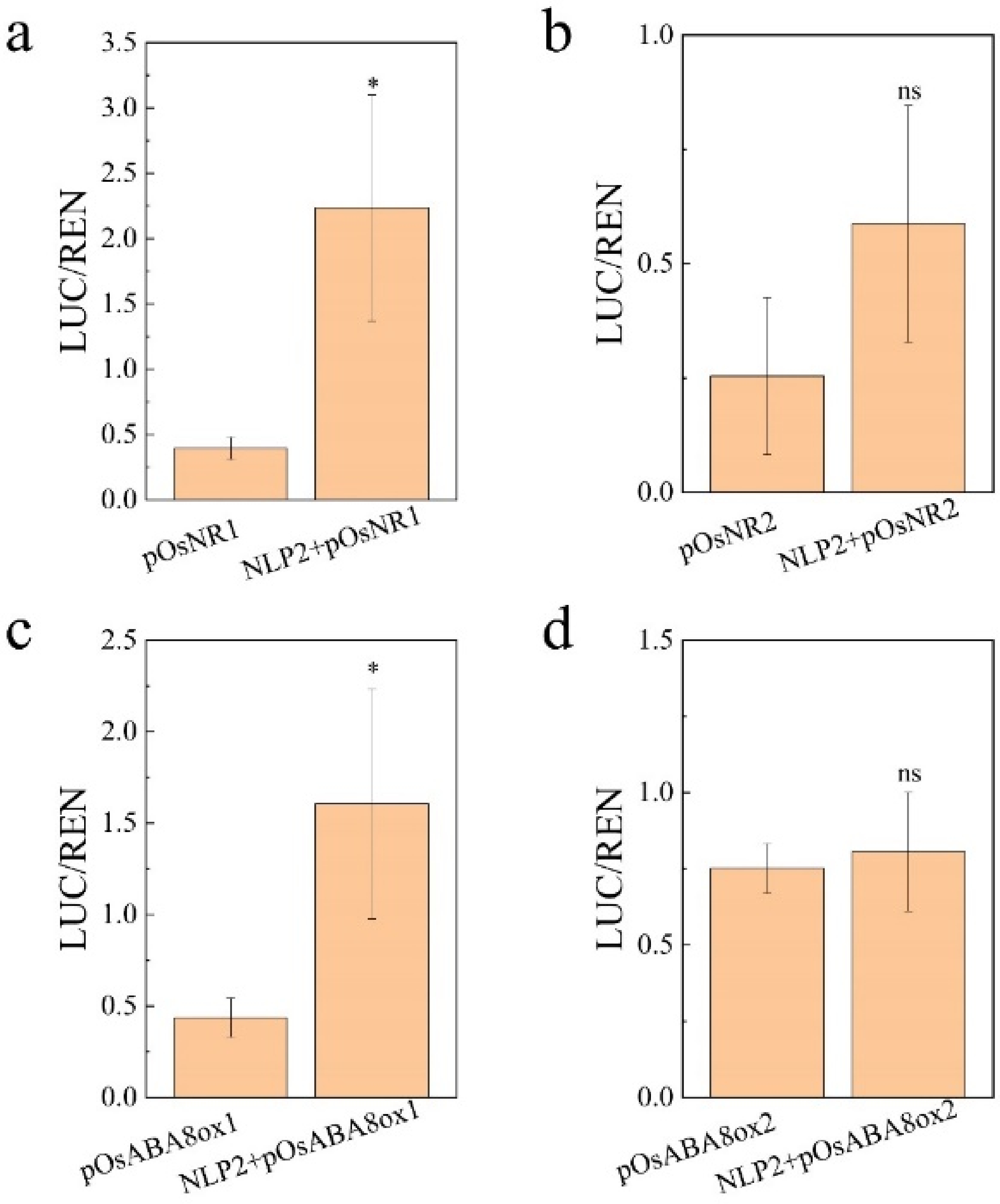Plants 11 00795 g008