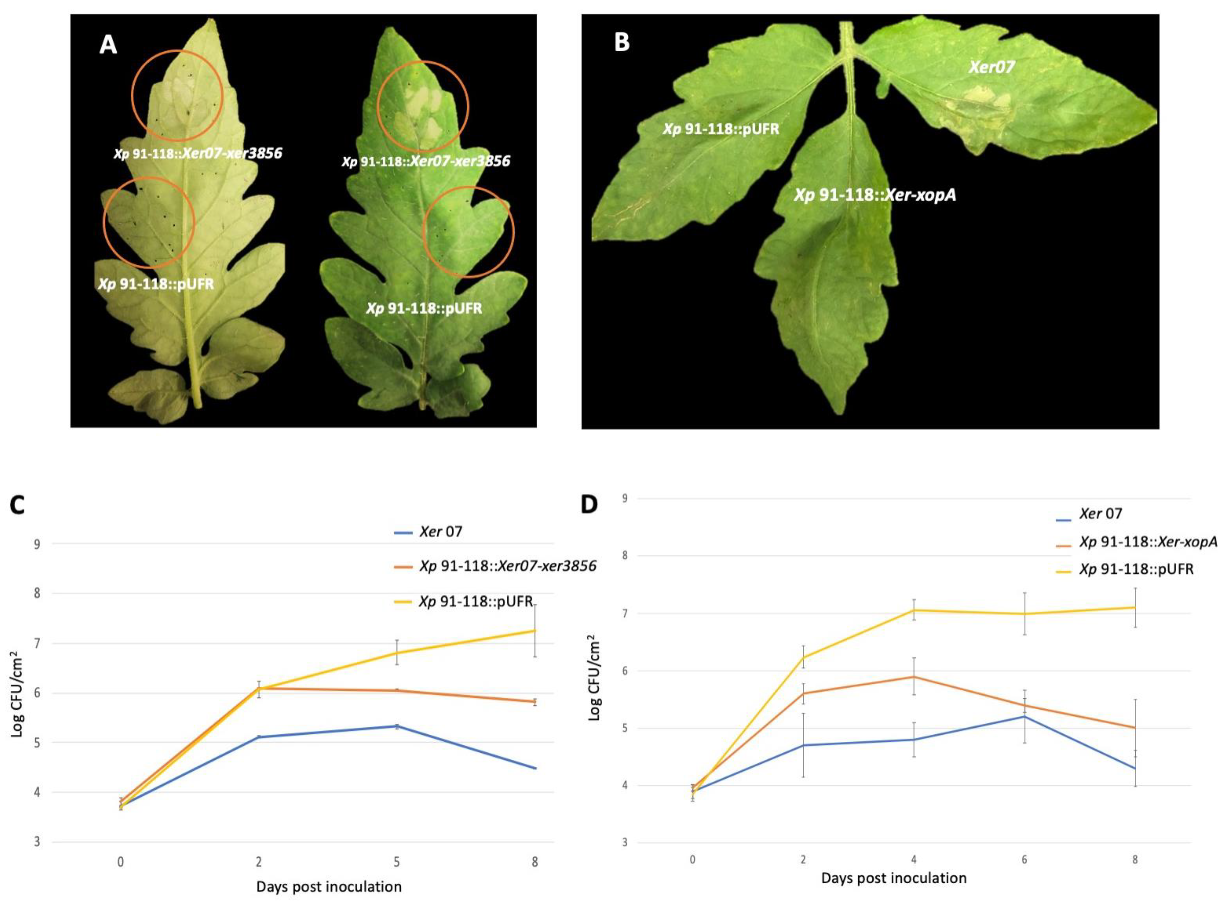 Plants 11 00796 g002