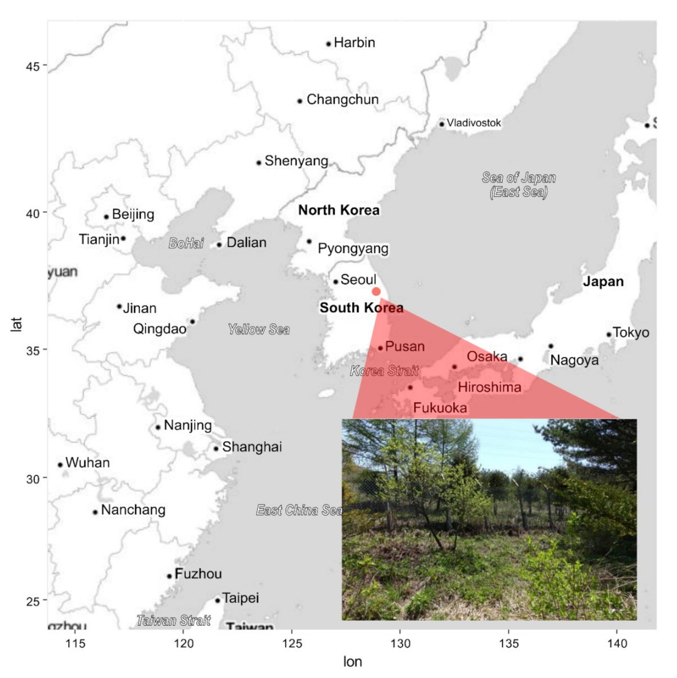 Plants 11 00798 g001 Plants 11 00798 g001