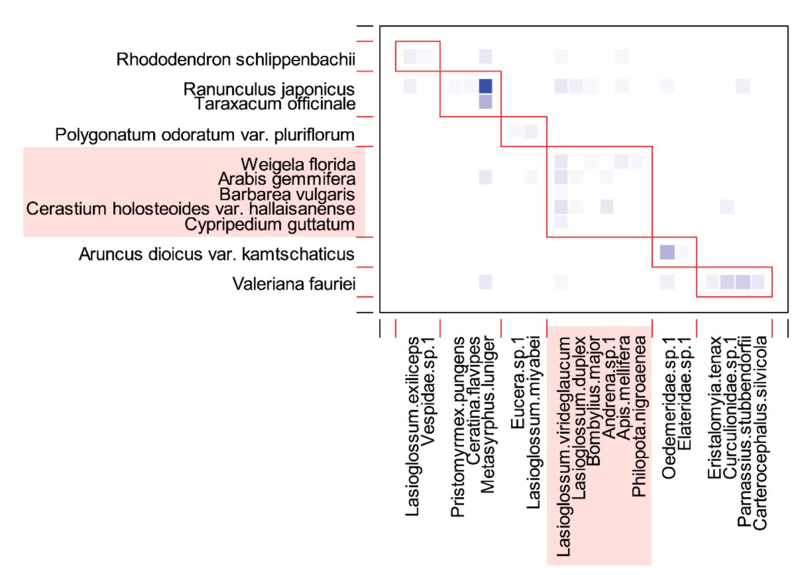 Plants 11 00798 g005 Plants 11 00798 g005