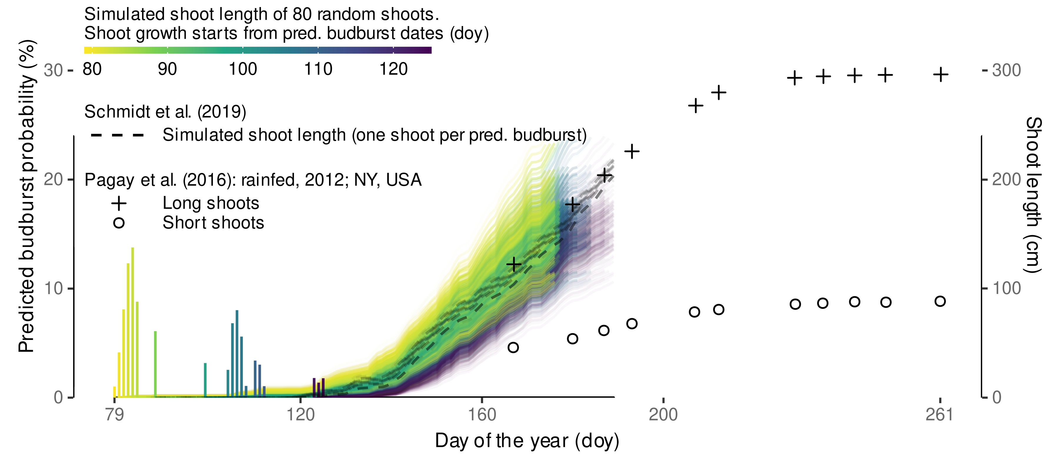 Plants 11 00801 g016
