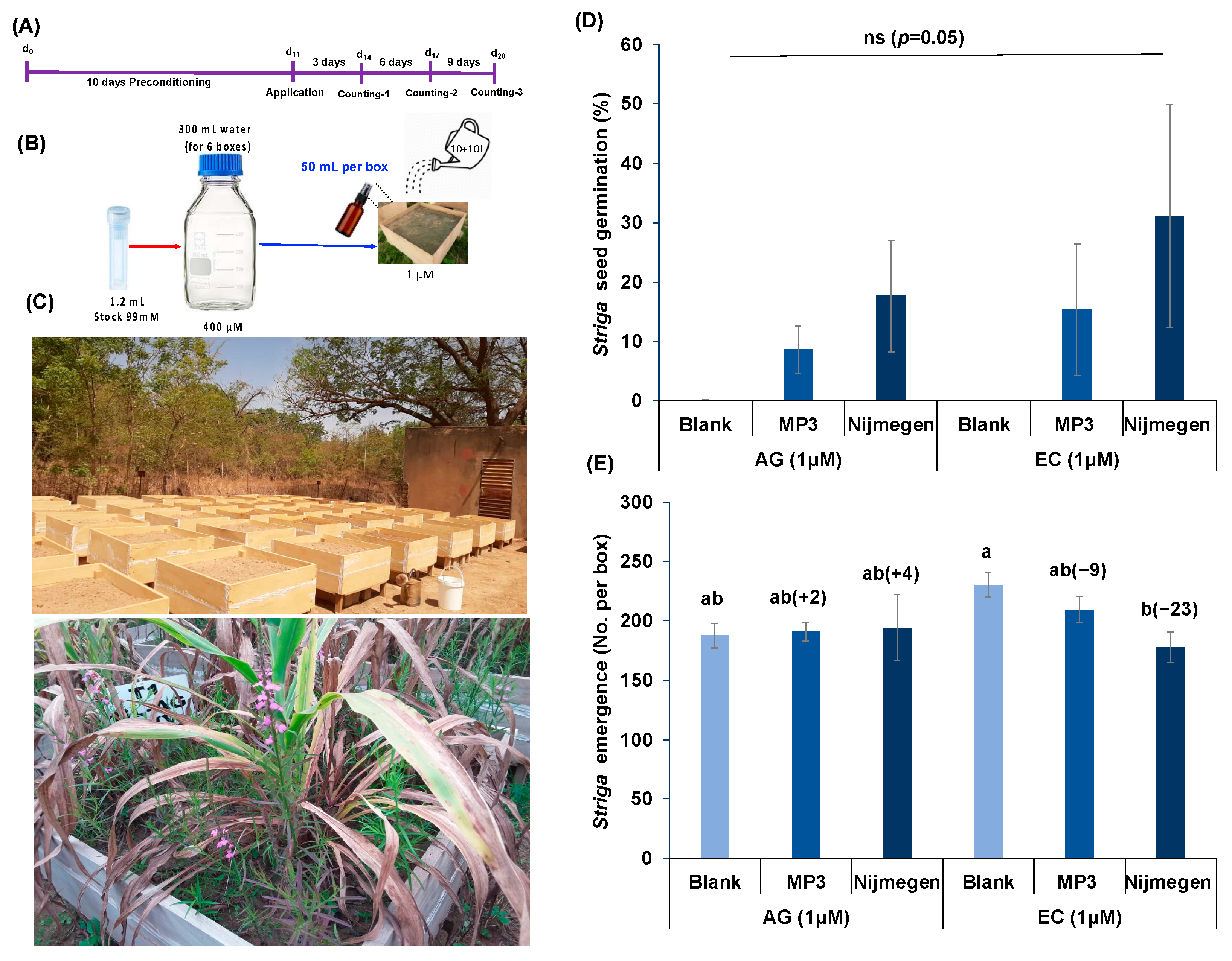 Plants 11 00808 g006