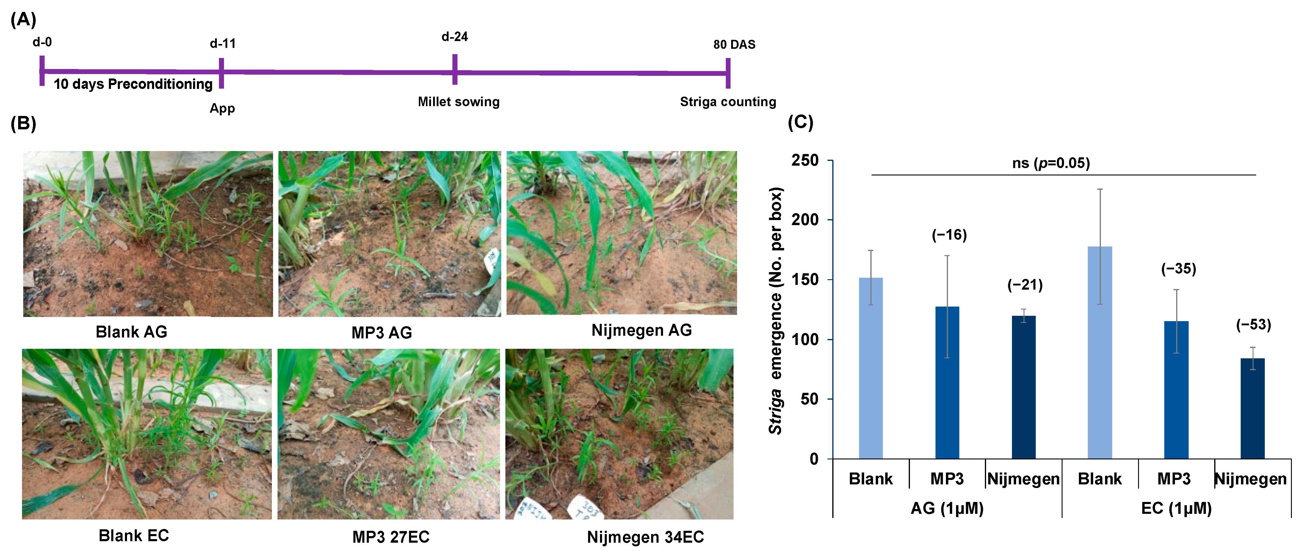 Plants 11 00808 g007